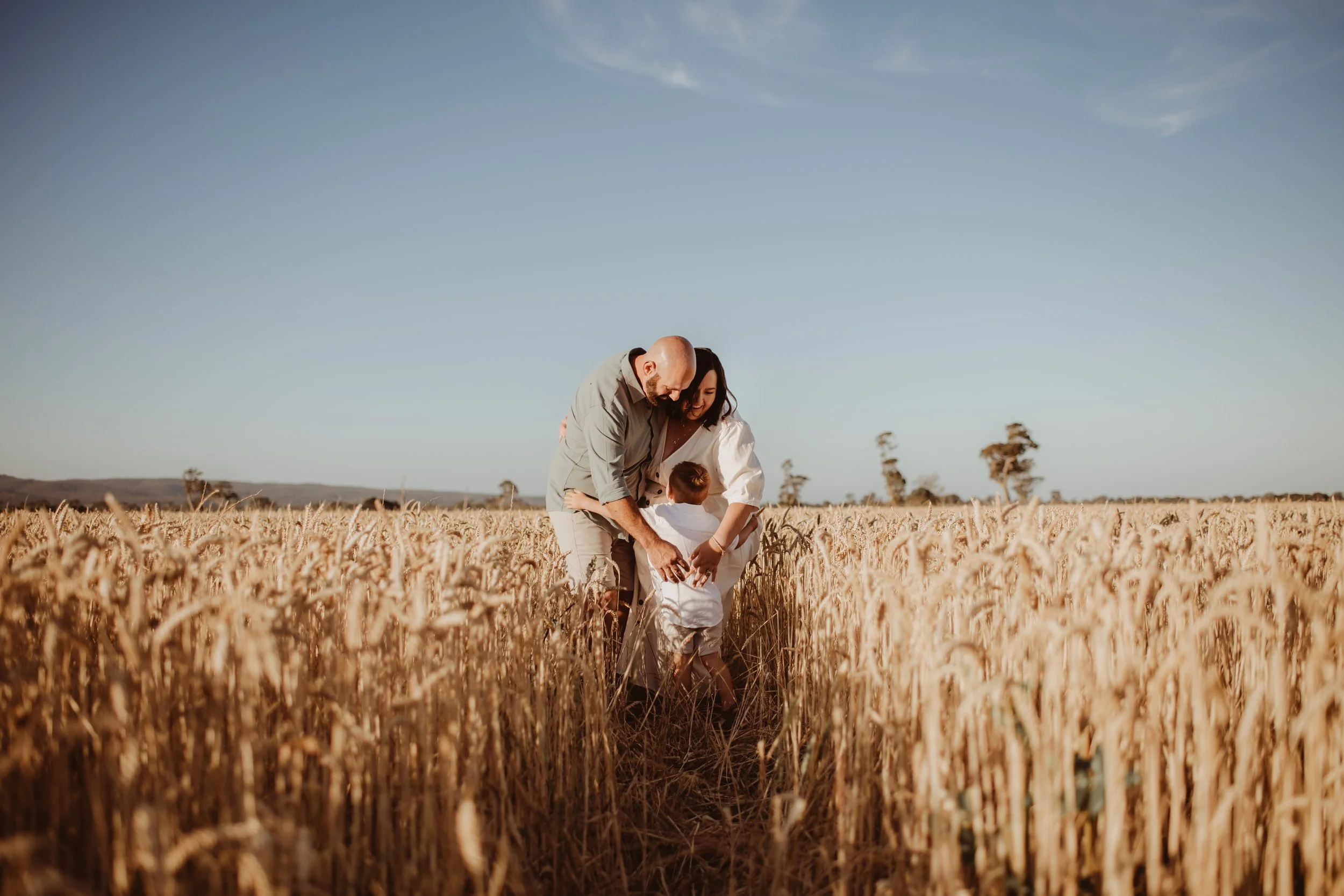 Wheat Photography