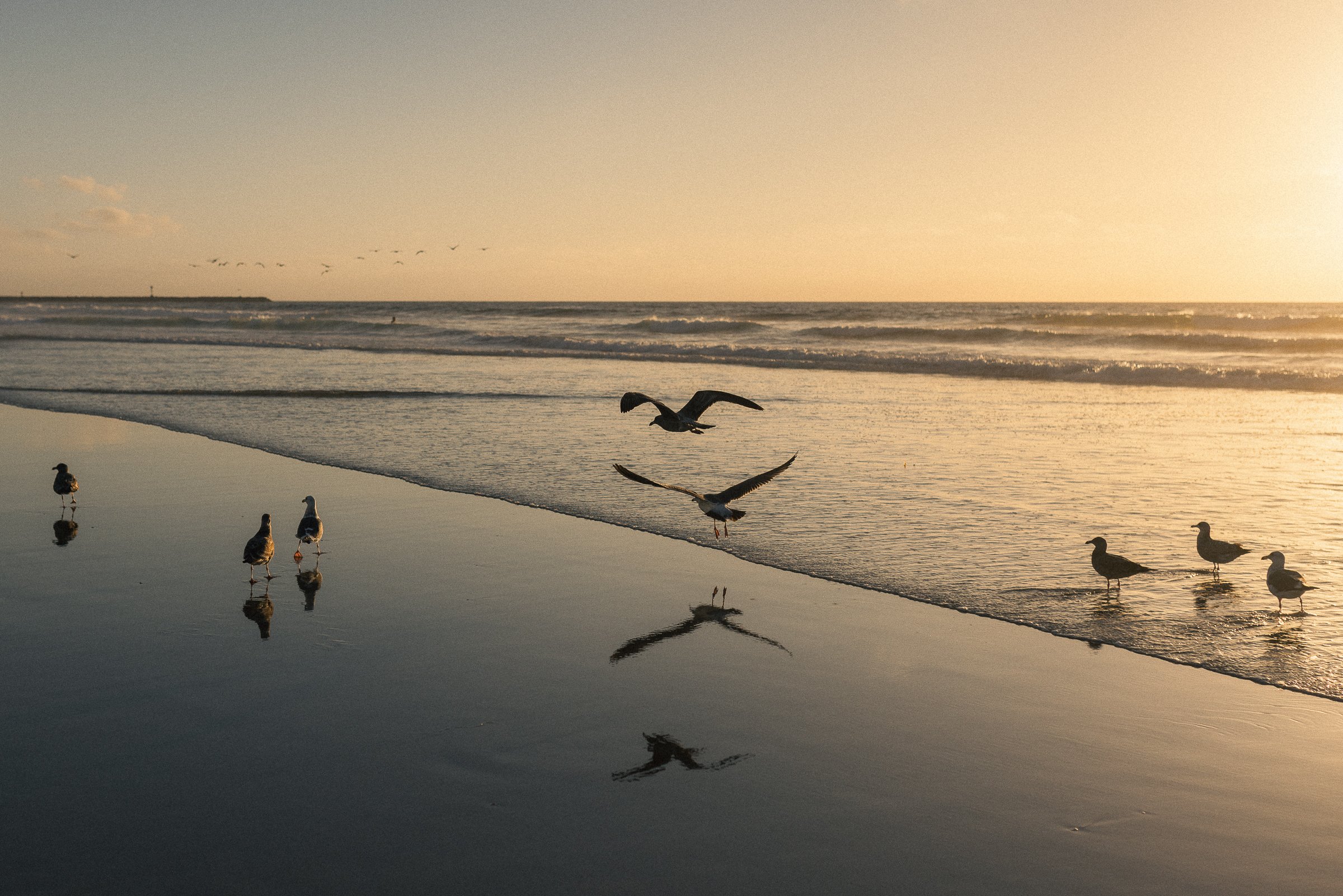 beach 11-20-24-9.jpg