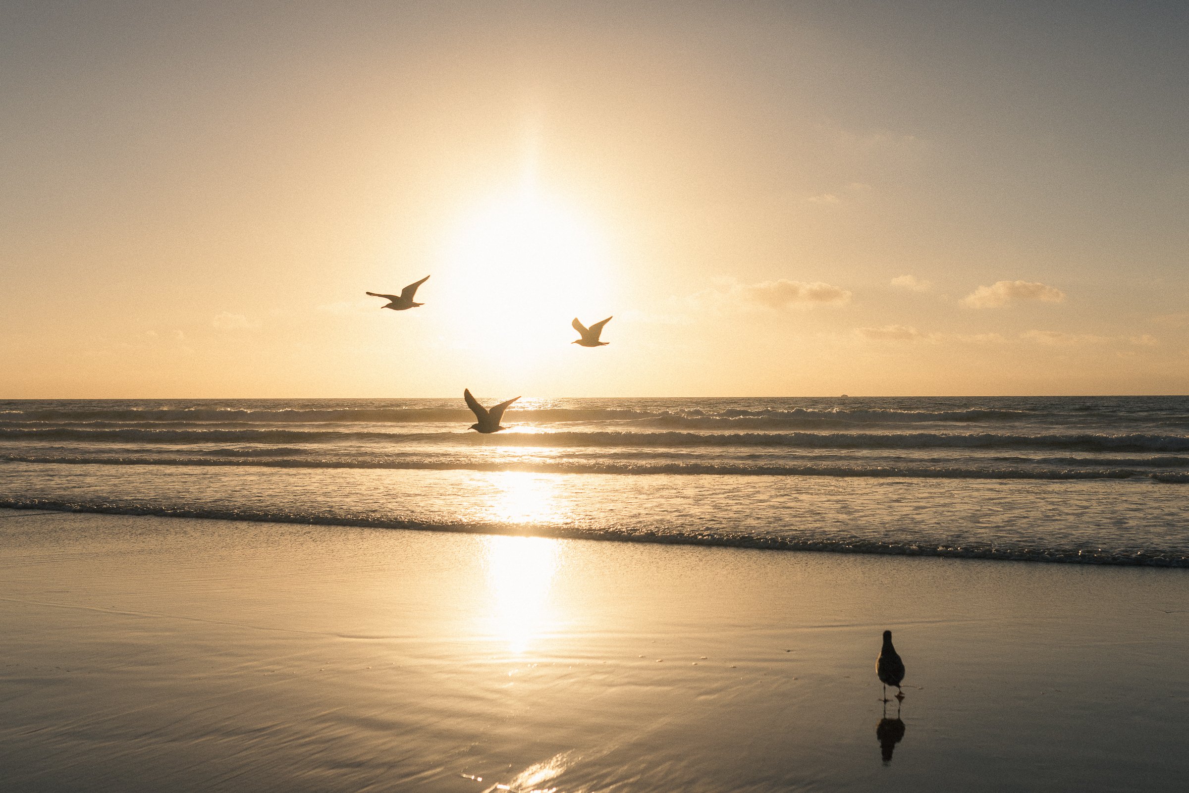 beach 11-20-24-5.jpg