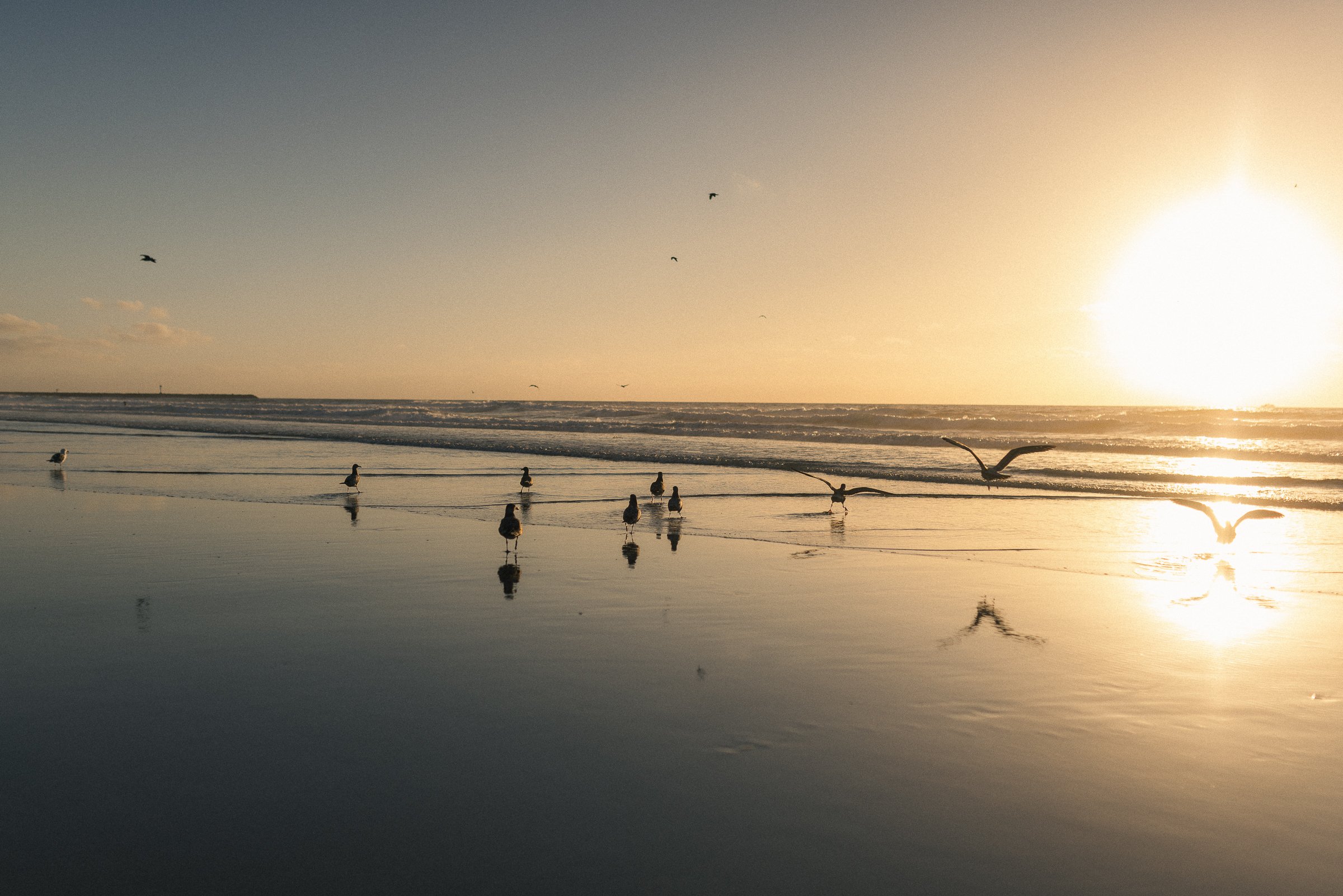 beach 11-20-24-7.jpg