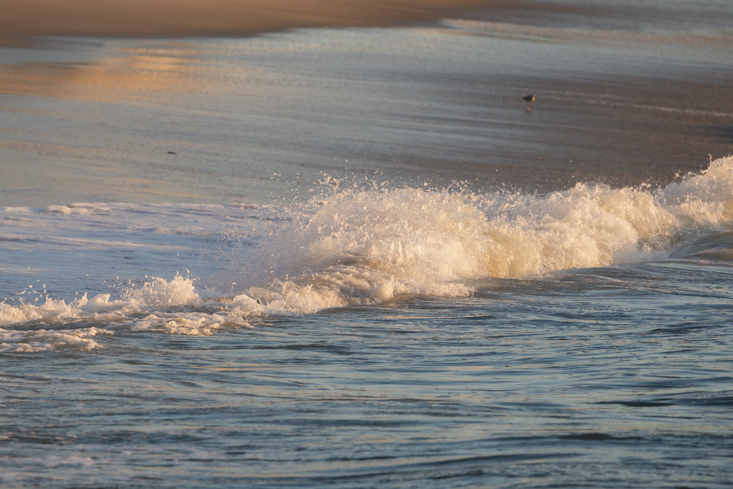 Beach deats-6.jpg