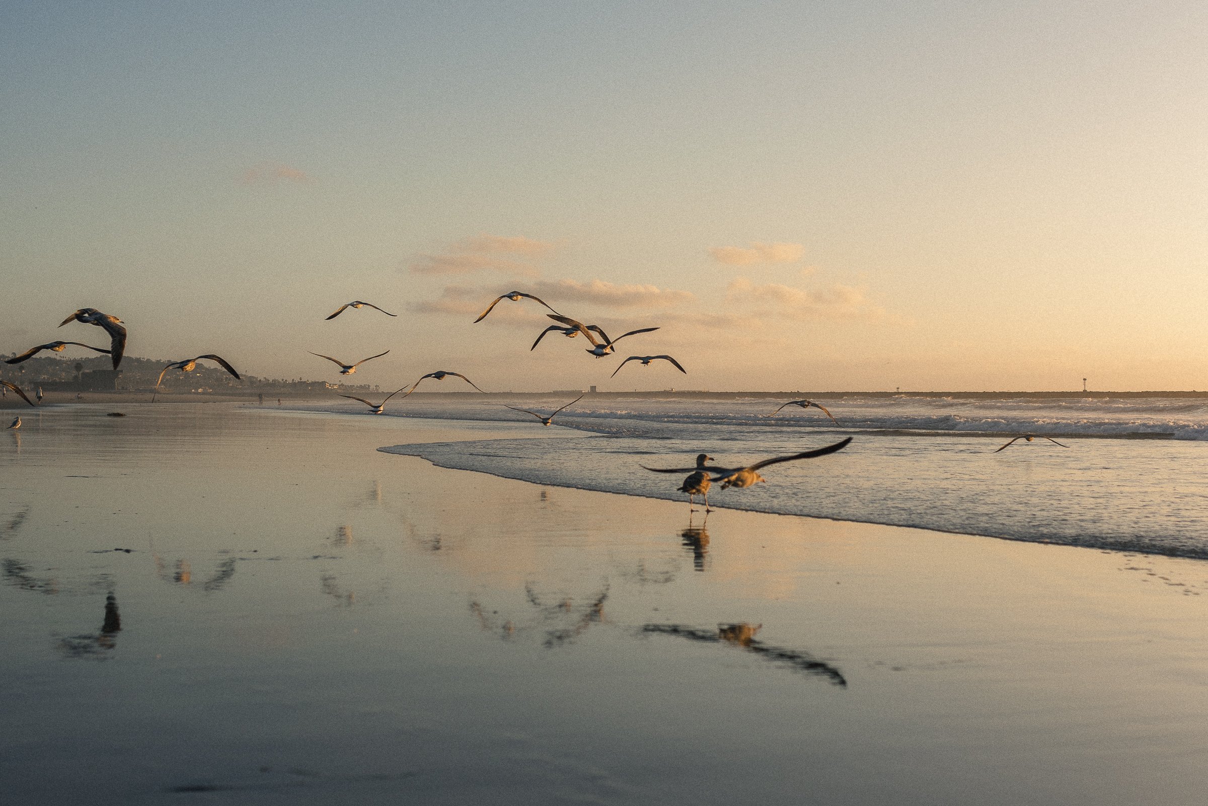 beach 11-20-24-12.jpg