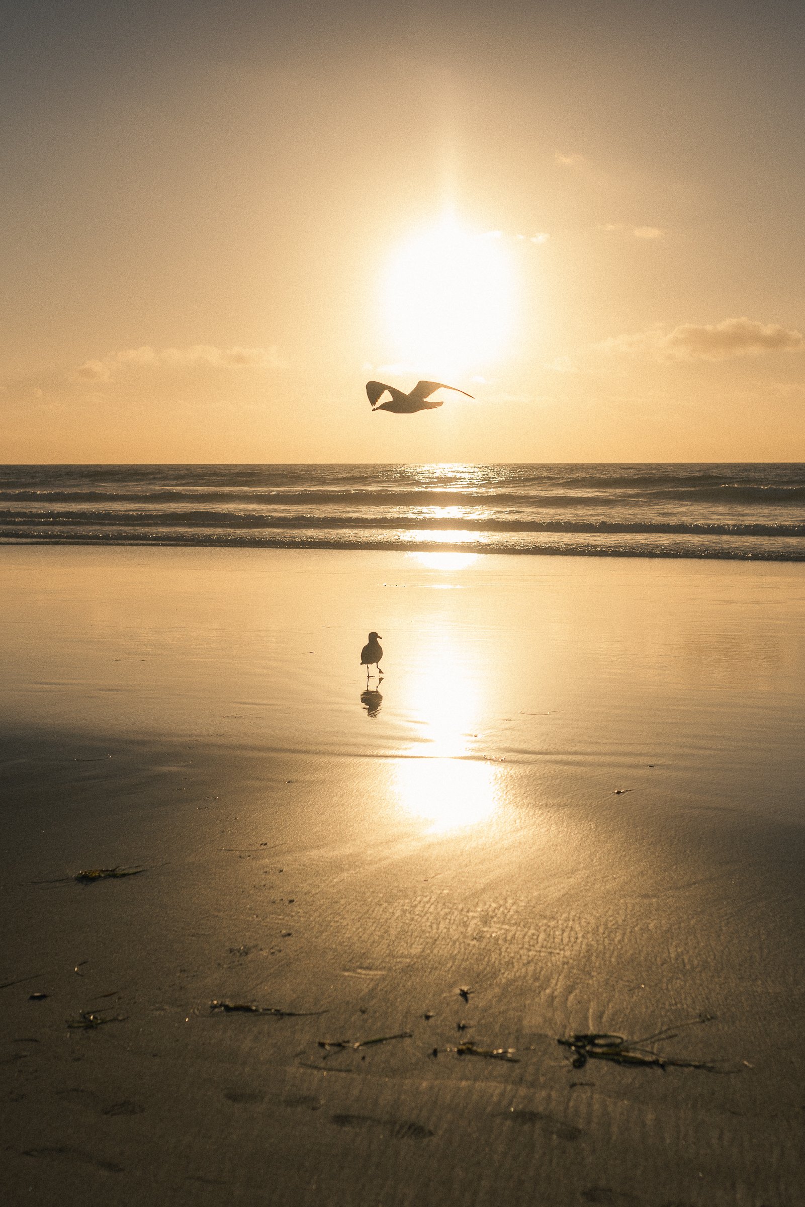 beach 11-20-24-1.jpg