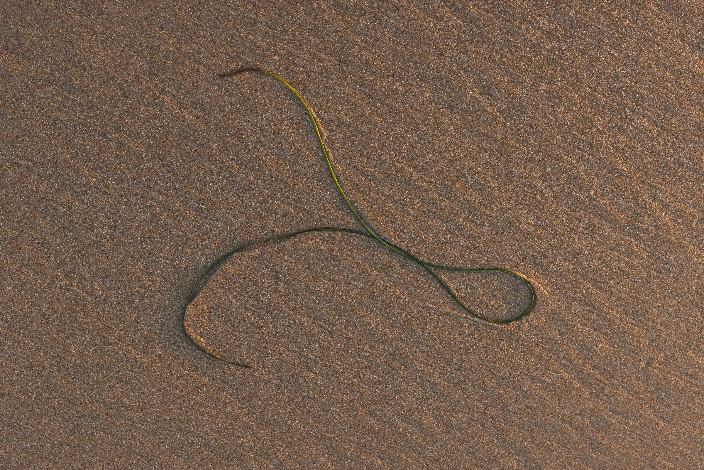 Beach deats-2.jpg