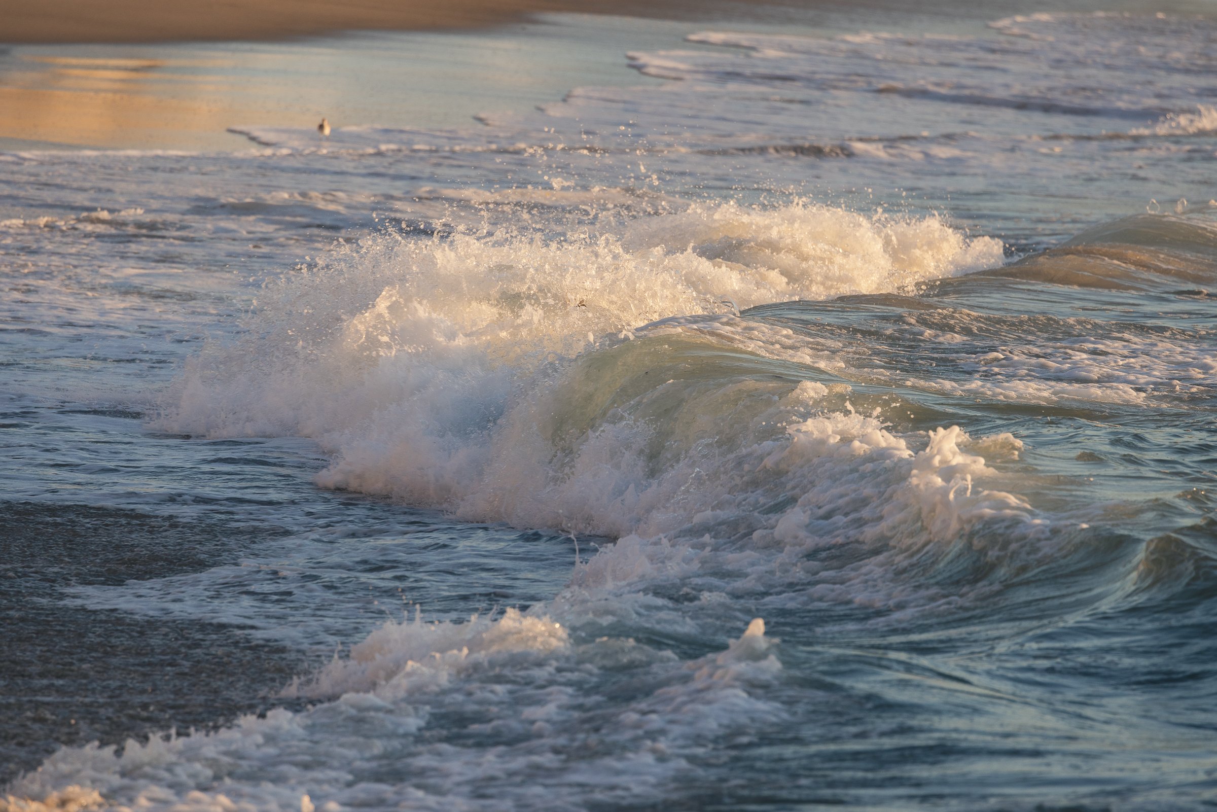 Beach deats-7.jpg