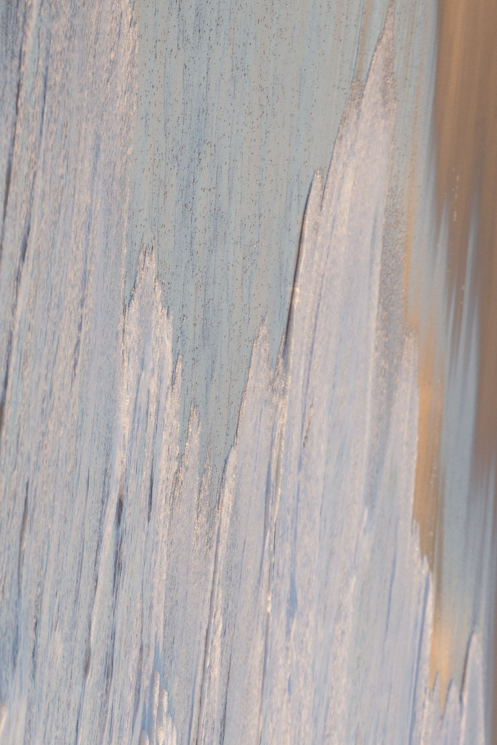 Beach deats-5.jpg