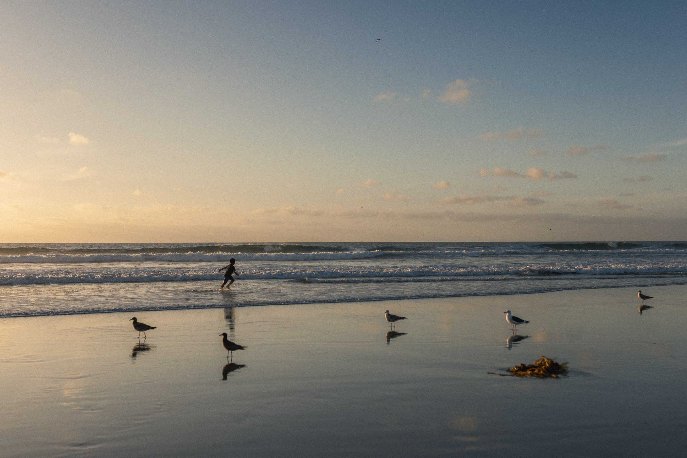 beach 11-20-24-8.jpg