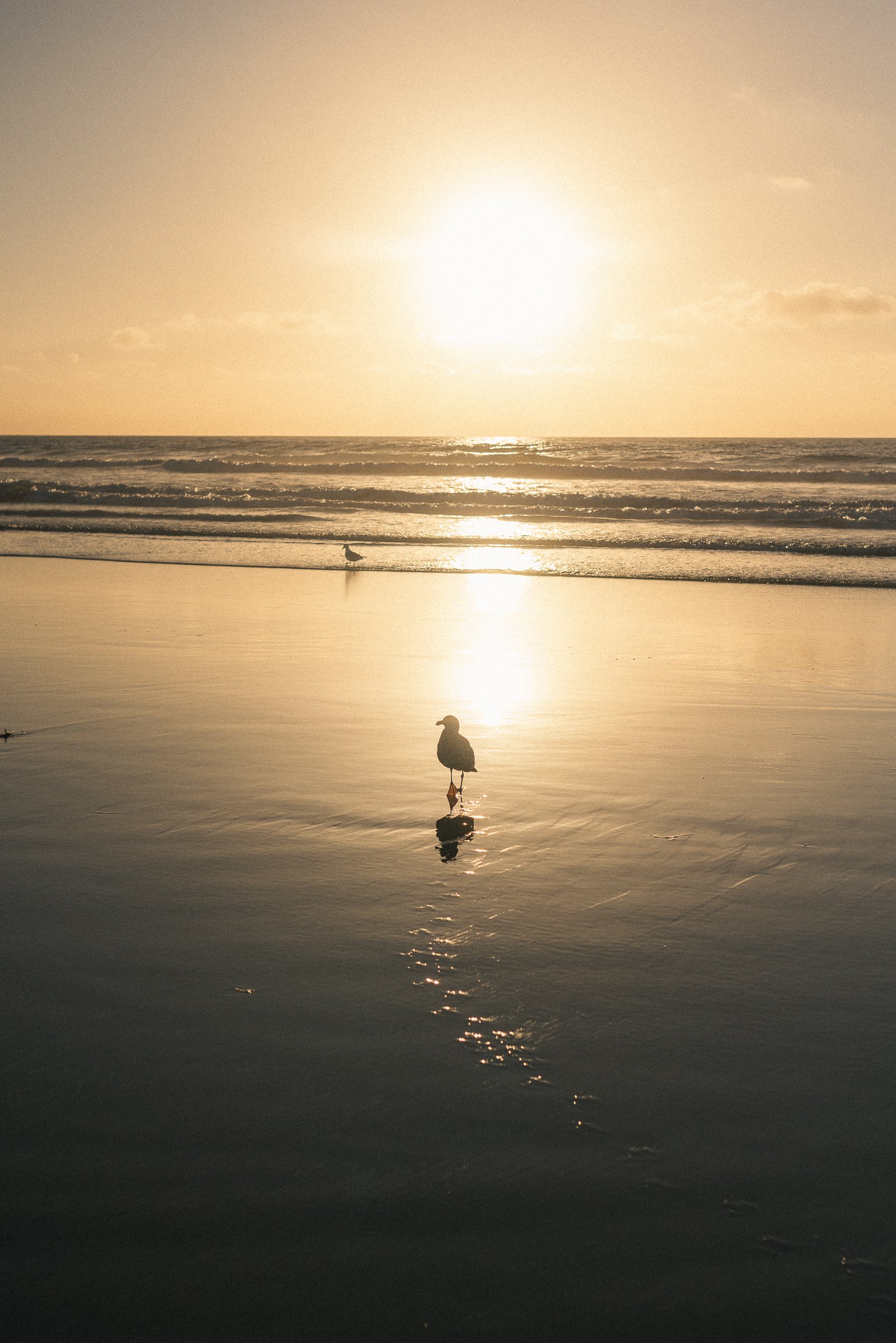 beach 11-20-24-4.jpg