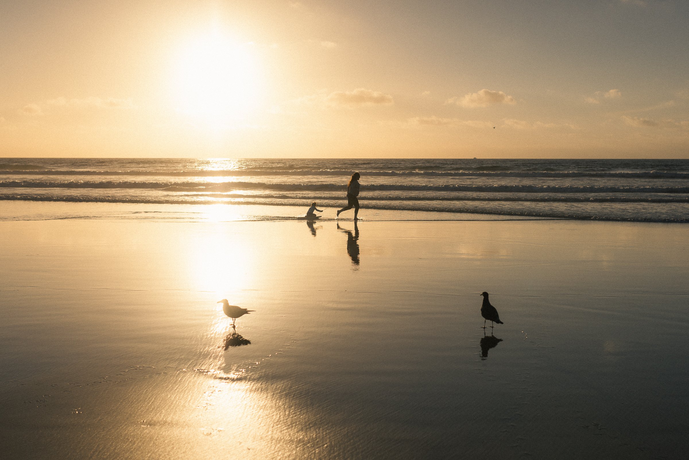beach 11-20-24-3.jpg