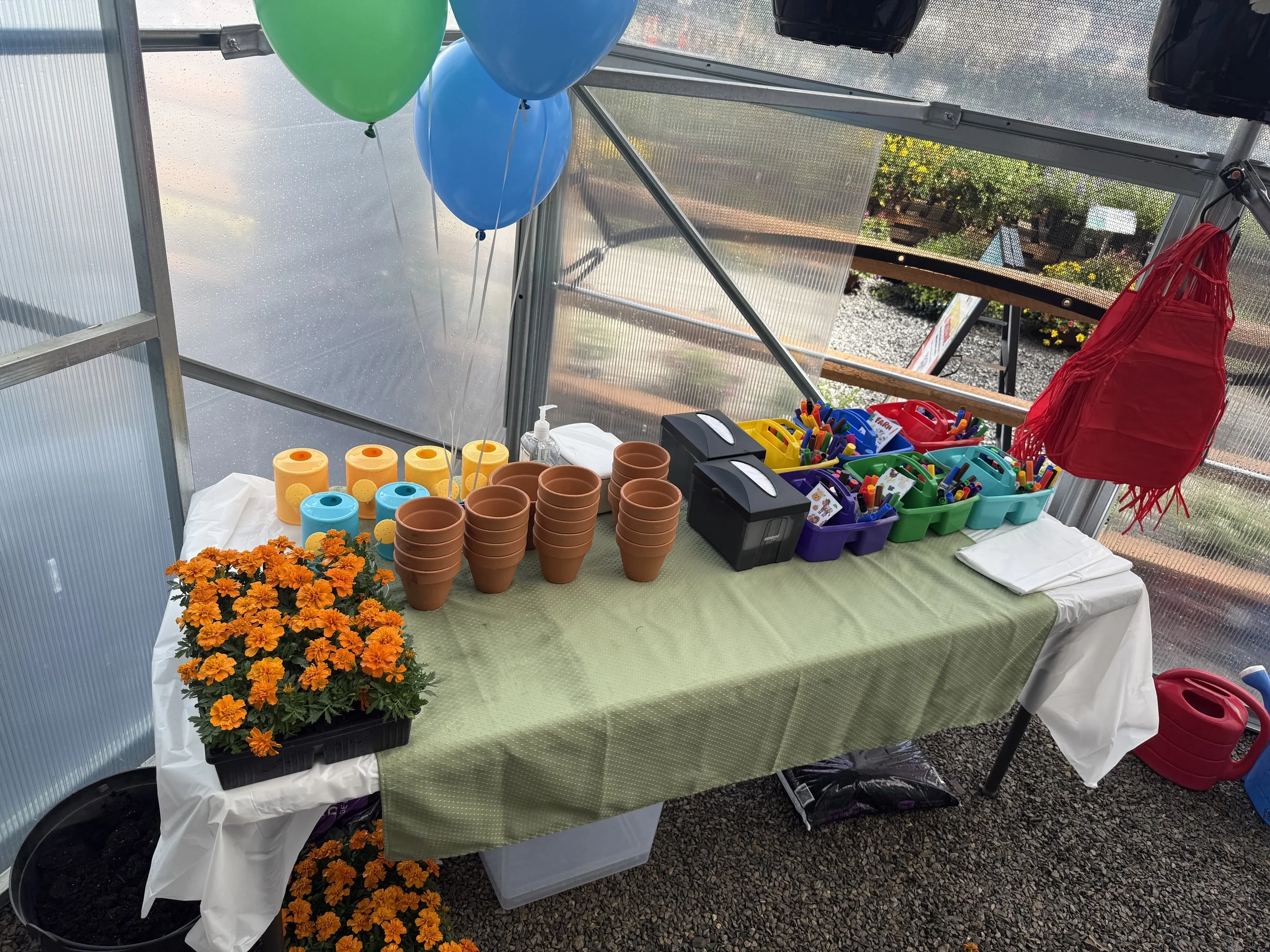 Plant and Decorate Kids Party