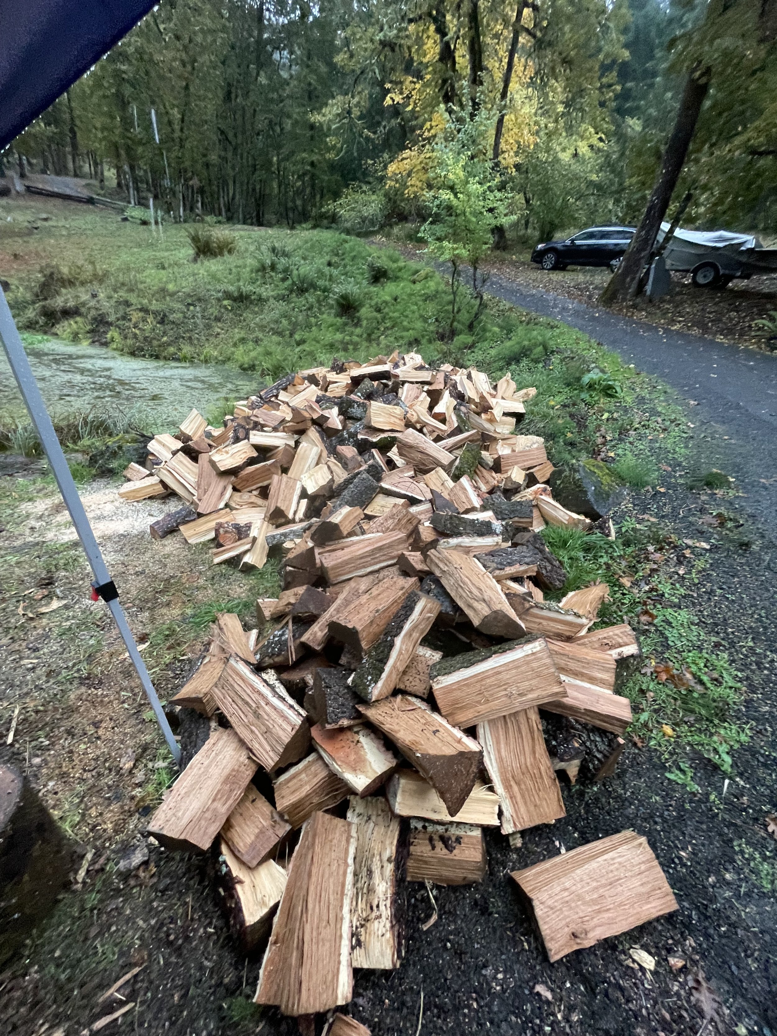 Removed, Bucked, and Split Tree.