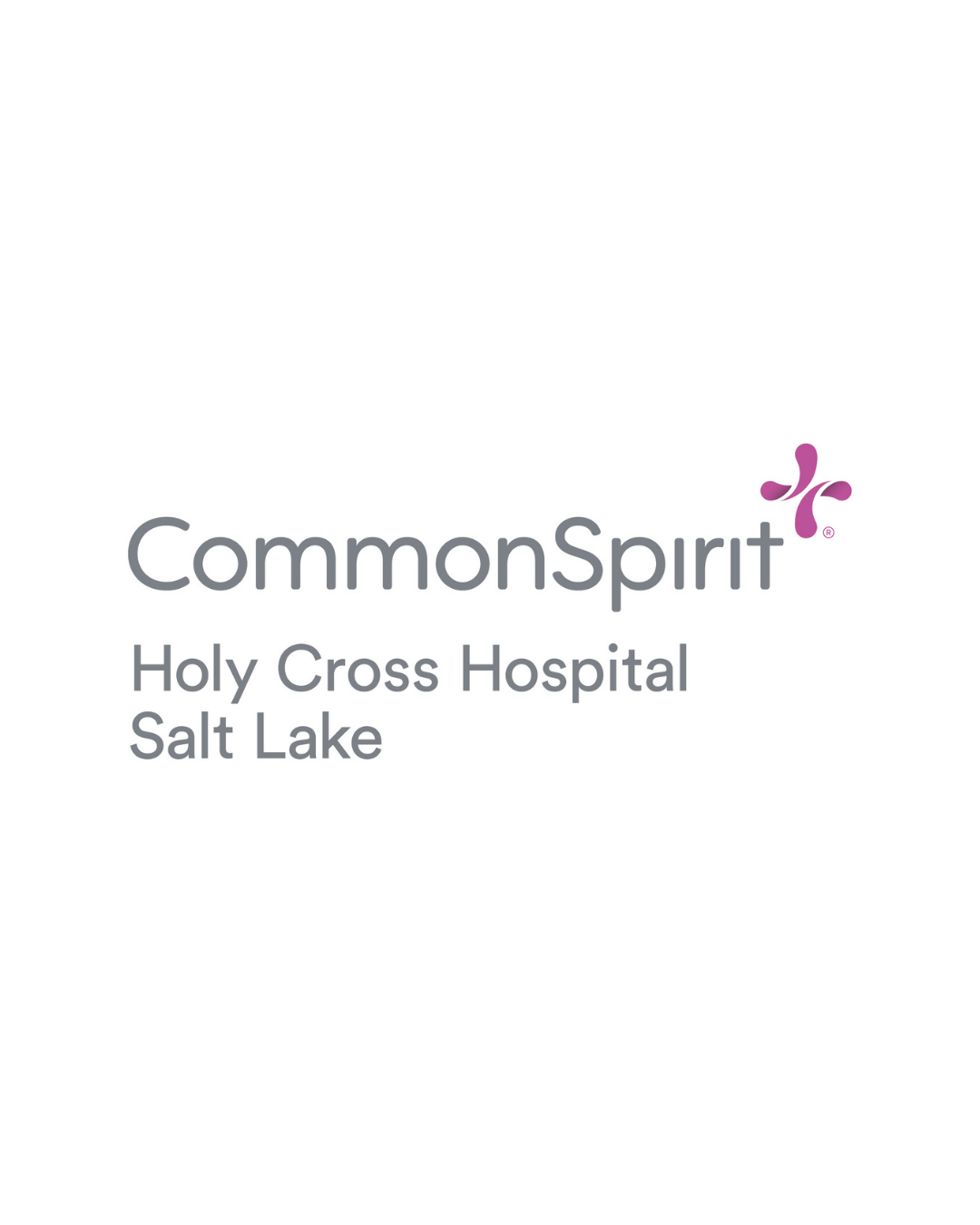 2026 Partner Logo - Holy Cross Hospital.png