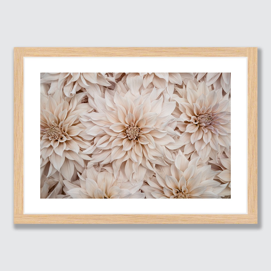 Landscape-Raw-Frame dahlia.jpg