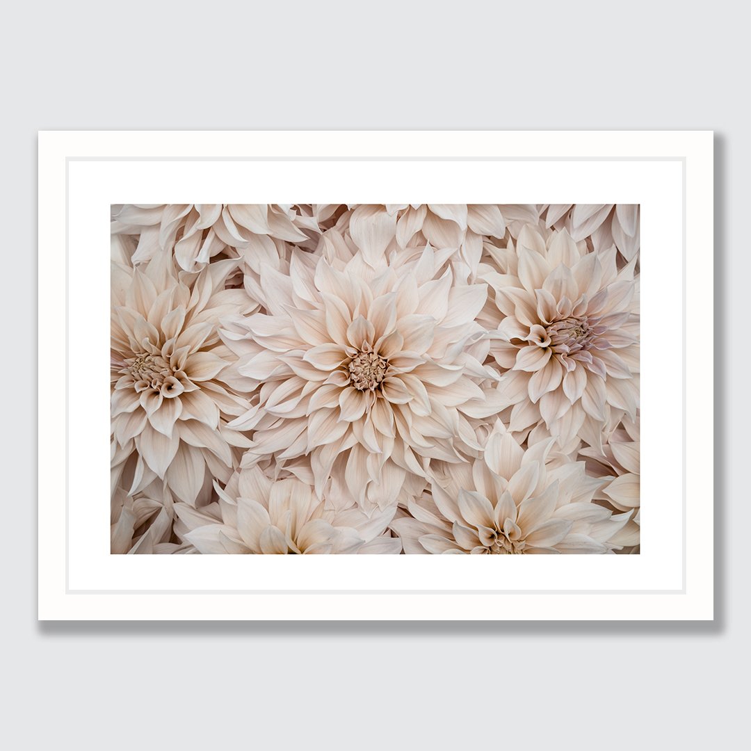 Landscape-White-Frame dahlia.jpg