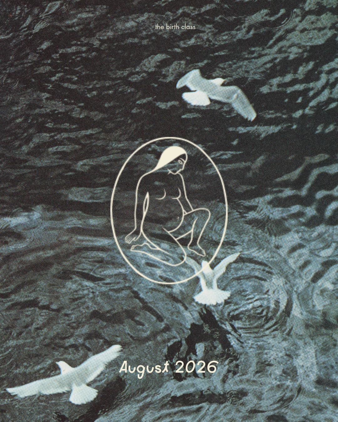Untitled - May 20, 2026 at 10.32.42-5-2.png