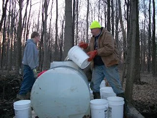 Dale Dumping Sap.JPG