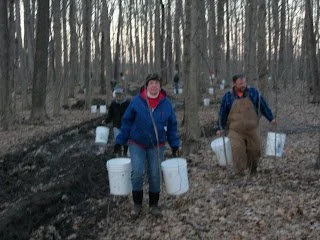 Karen Gathering.JPG
