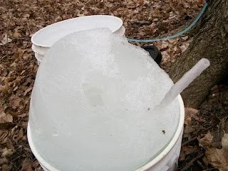 Snow on buckets.JPG