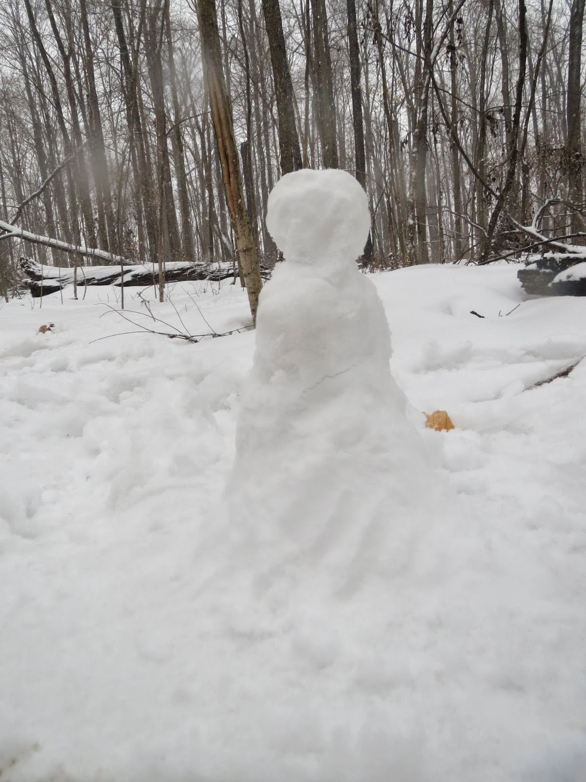 Snowman 3.8.JPG