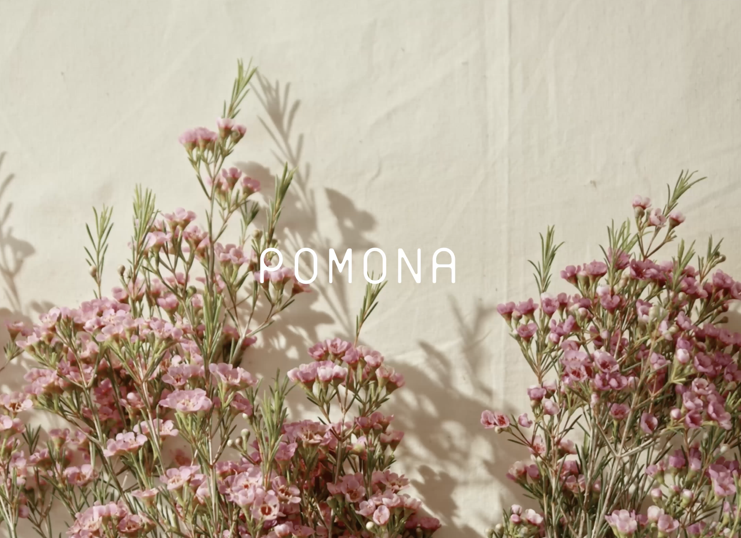 Capstone: POMONA
