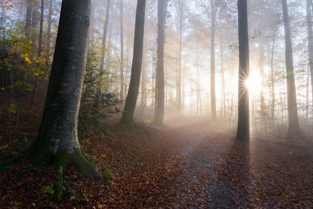 Alcohol and Parenthood: Some Honest Reflections