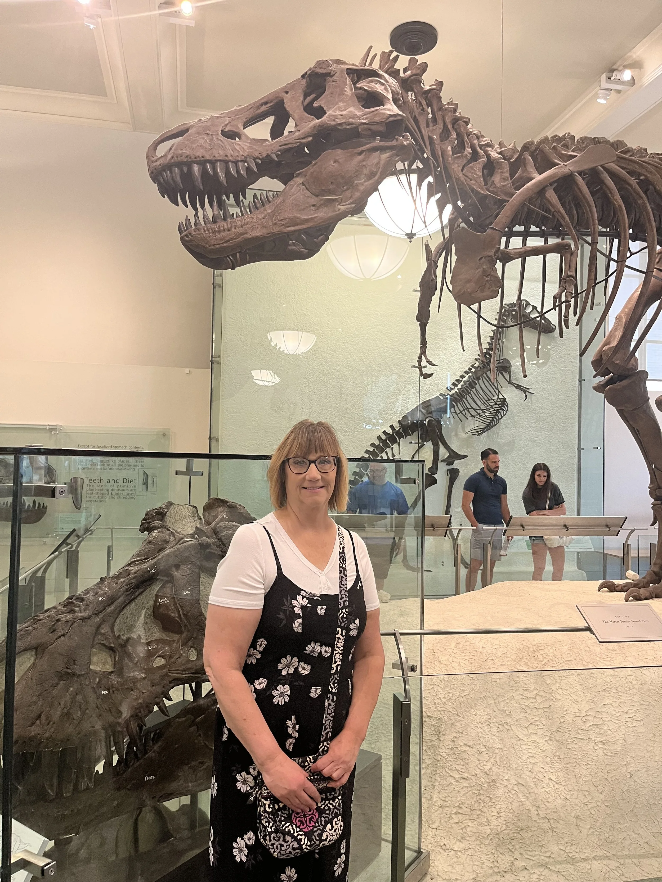 American Museum of Natural History, NY