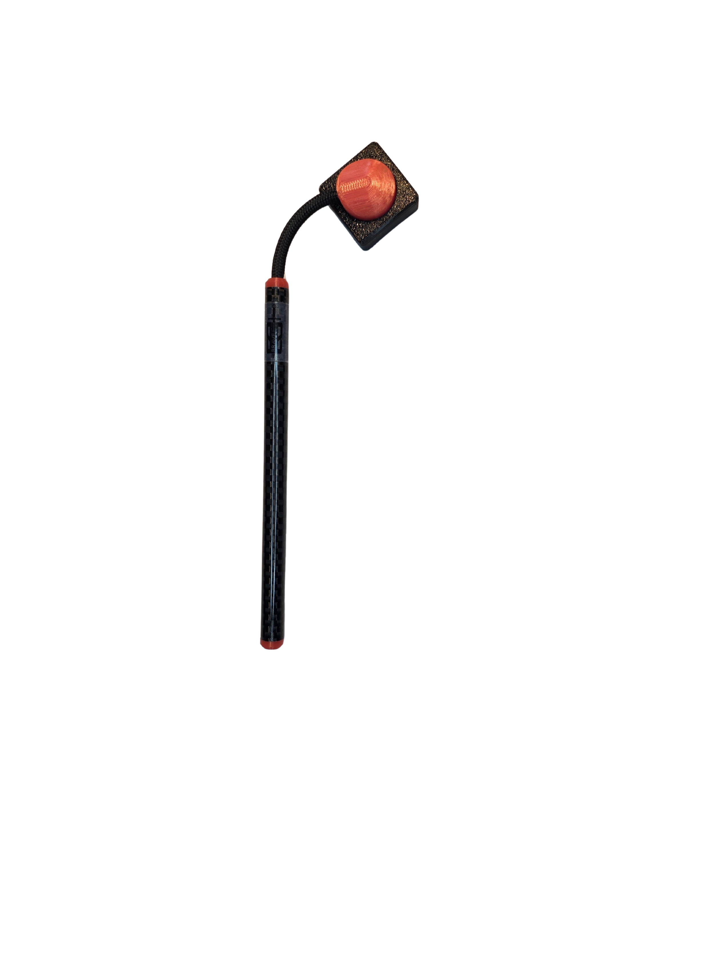 20260228_080429 - Edited.png