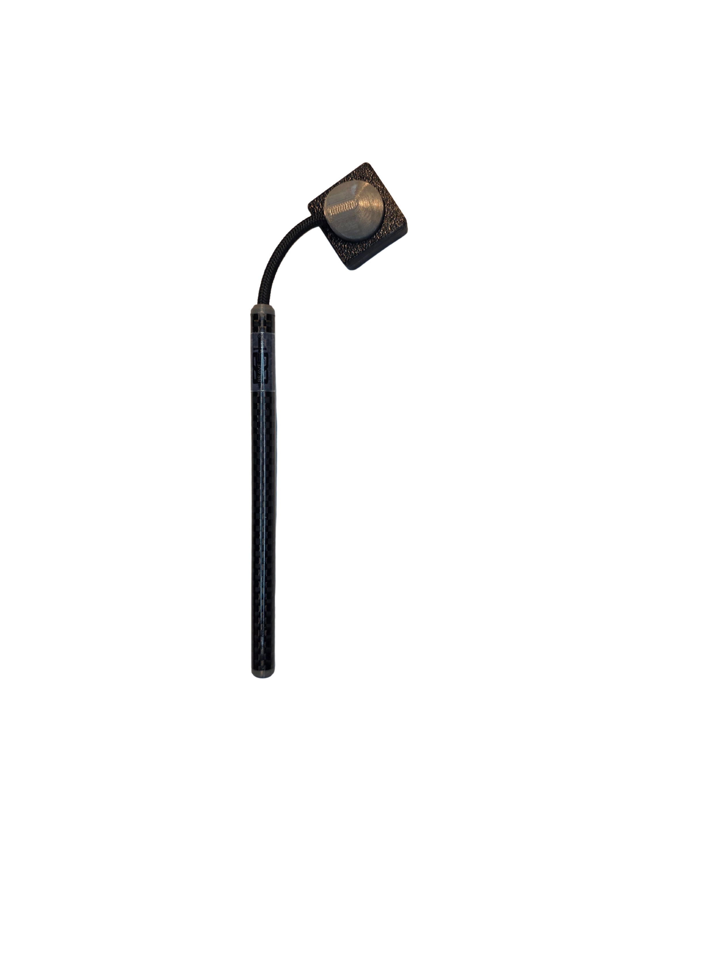 20260228_080342 - Edited.png