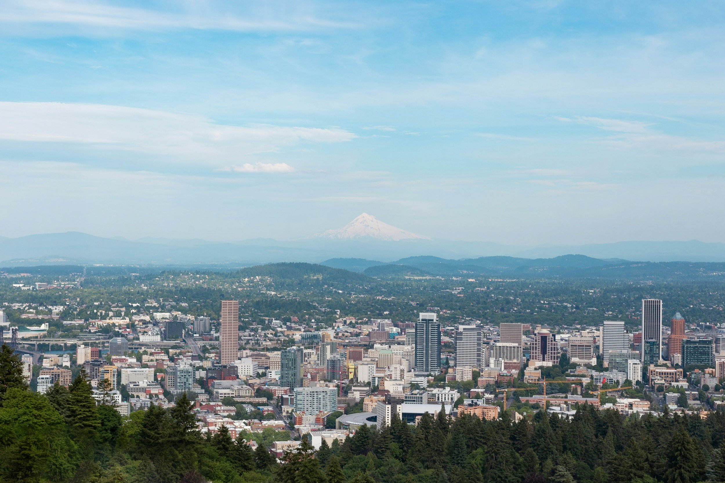 A panoramic view of a city skyline with tall buildings and a lush green foreground, with snow-capped Mount Hood in the background under a partly cloudy sky.