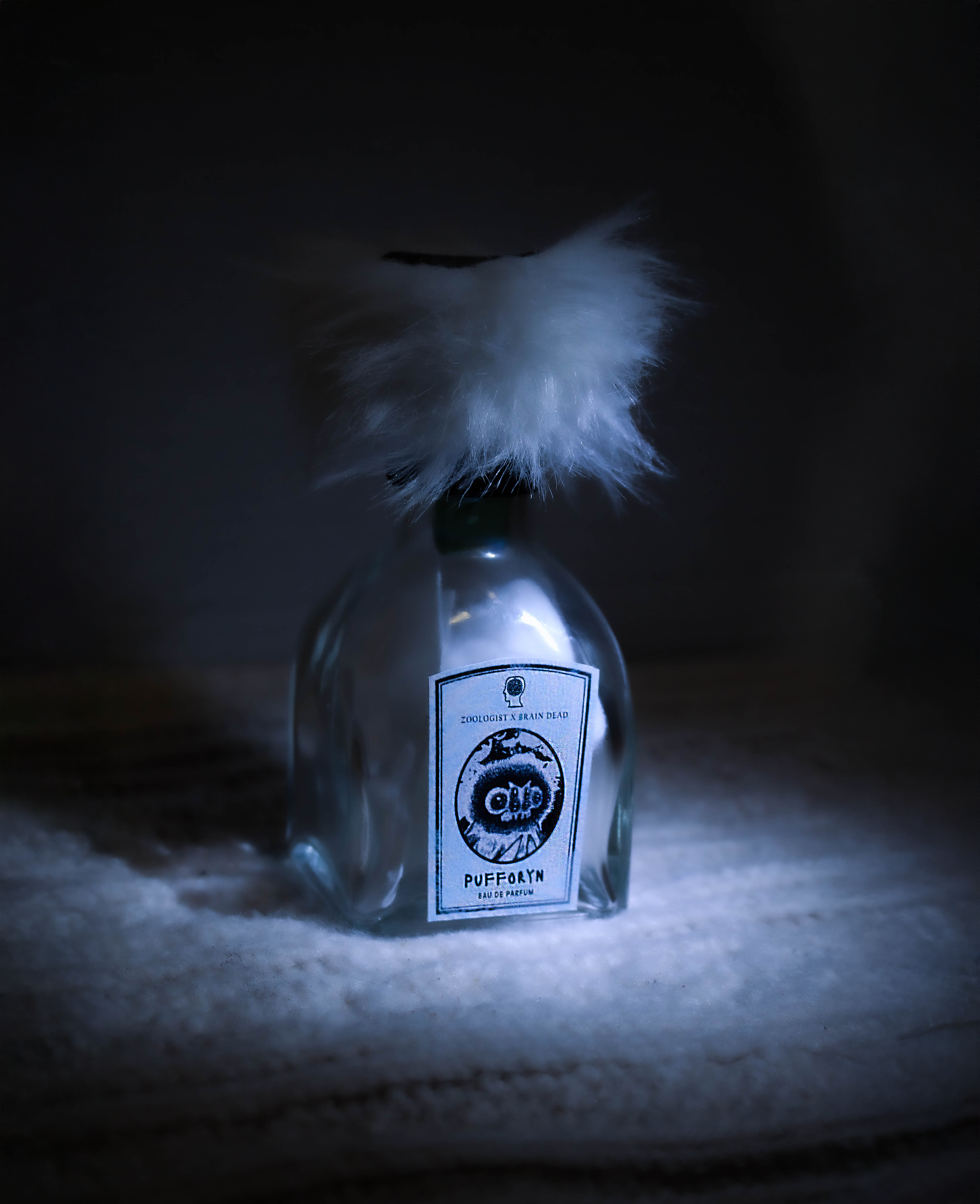 Zoologist x Brain Dead (Social Experience)