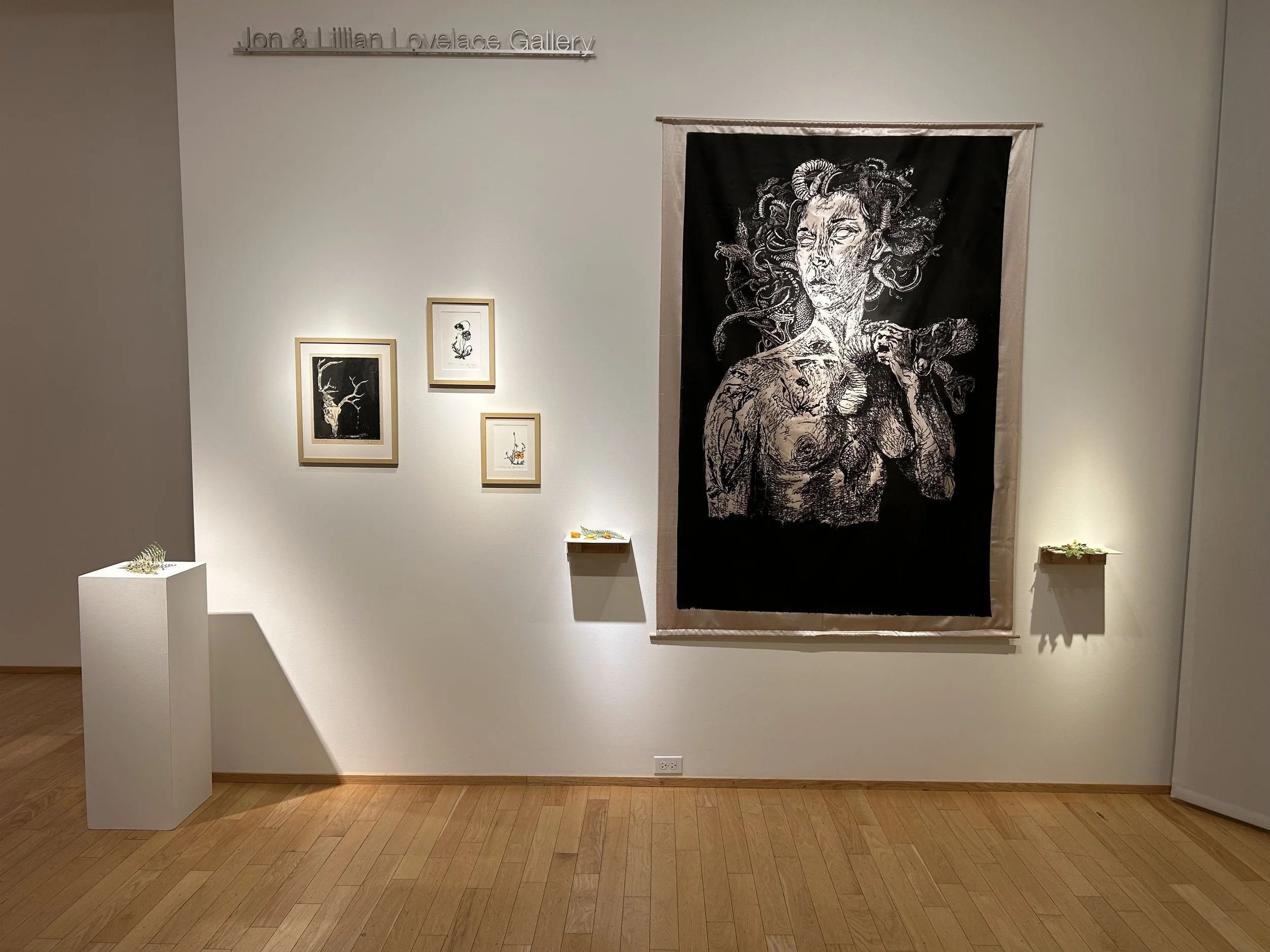 gallery with Medusa woodcut at BIMA