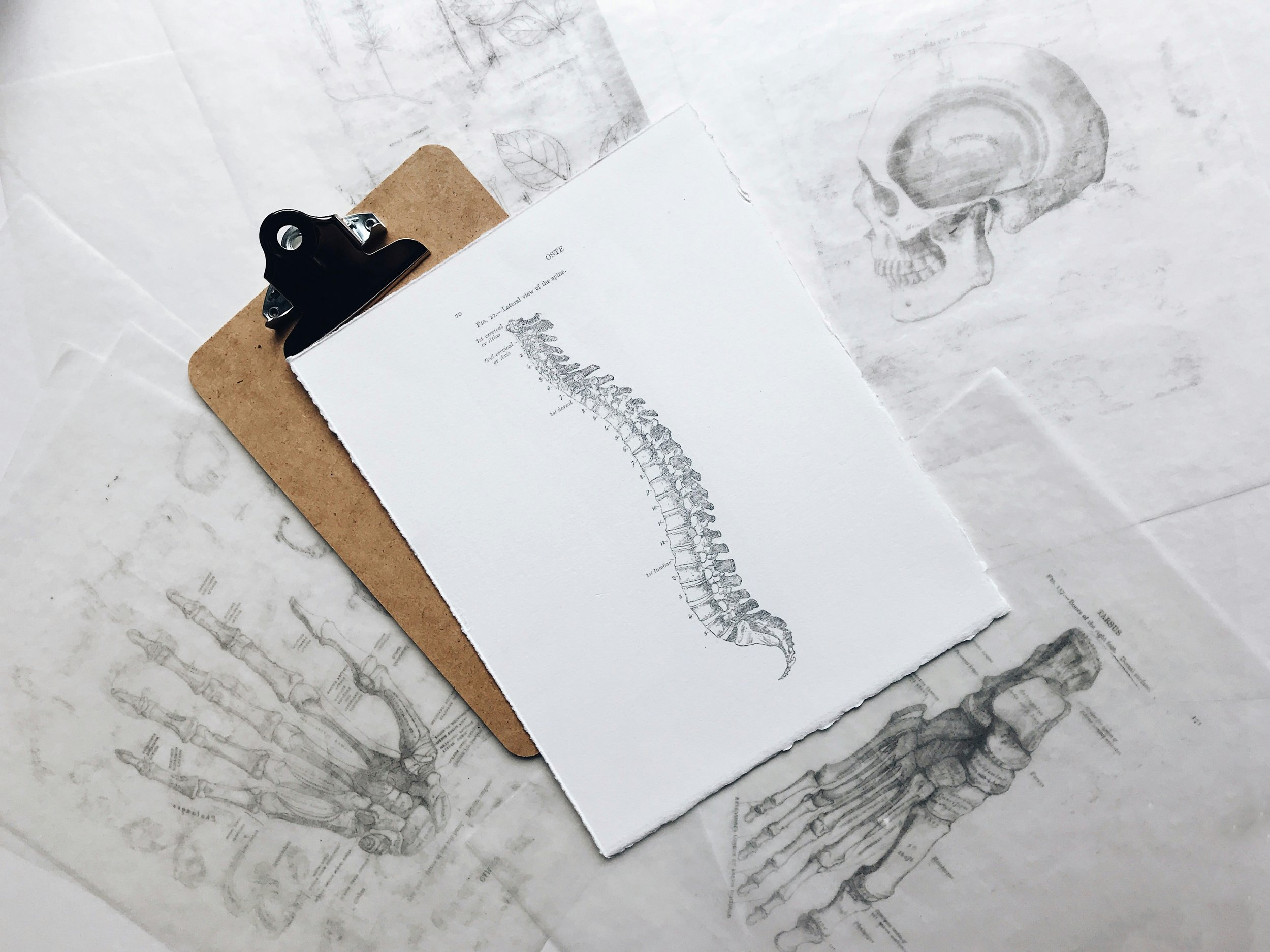 The Crossroad of Neurodivergence, Nervous System Regulation, and Chronic Illness