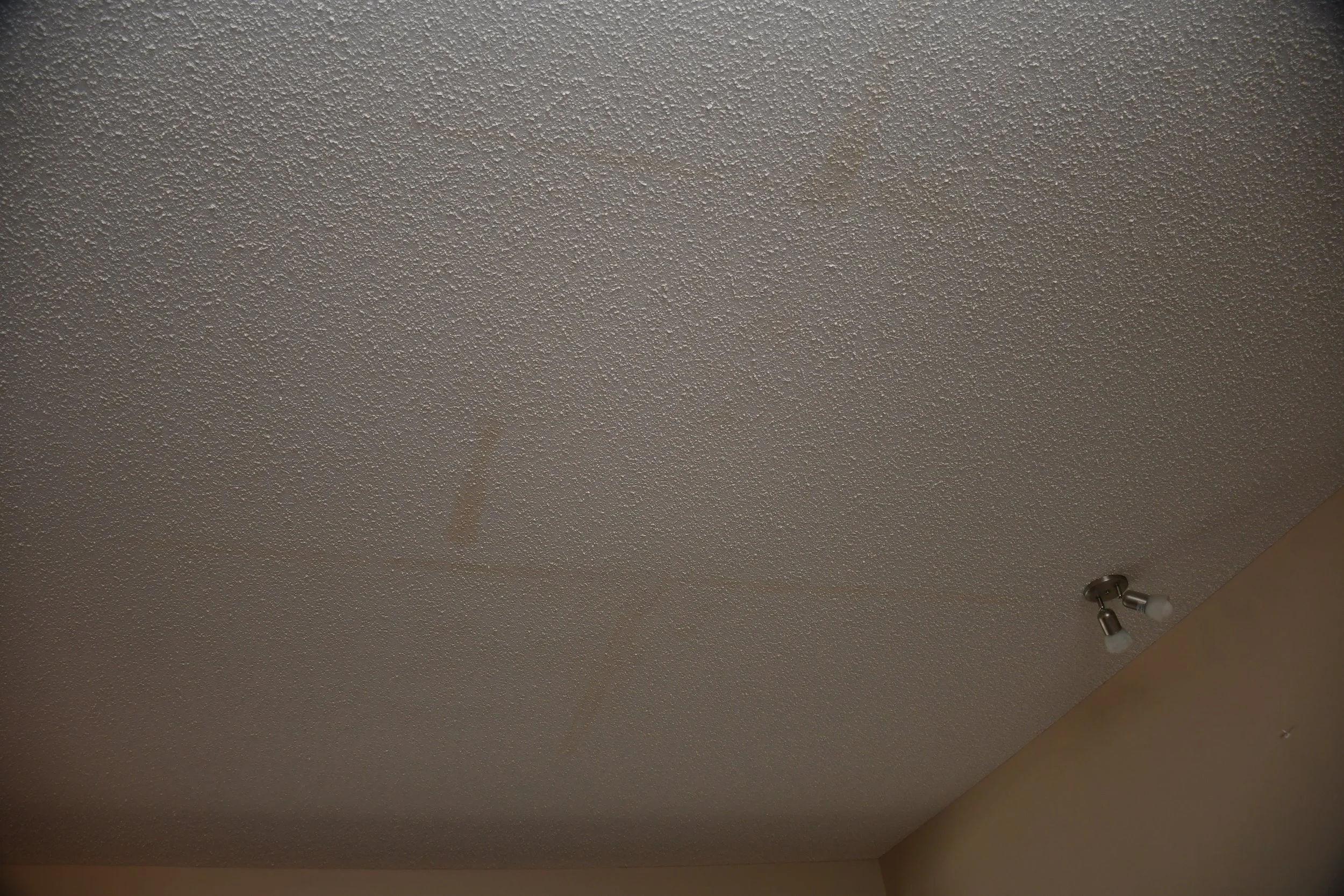 Ceiling with a stain and a small ceiling light fixture.