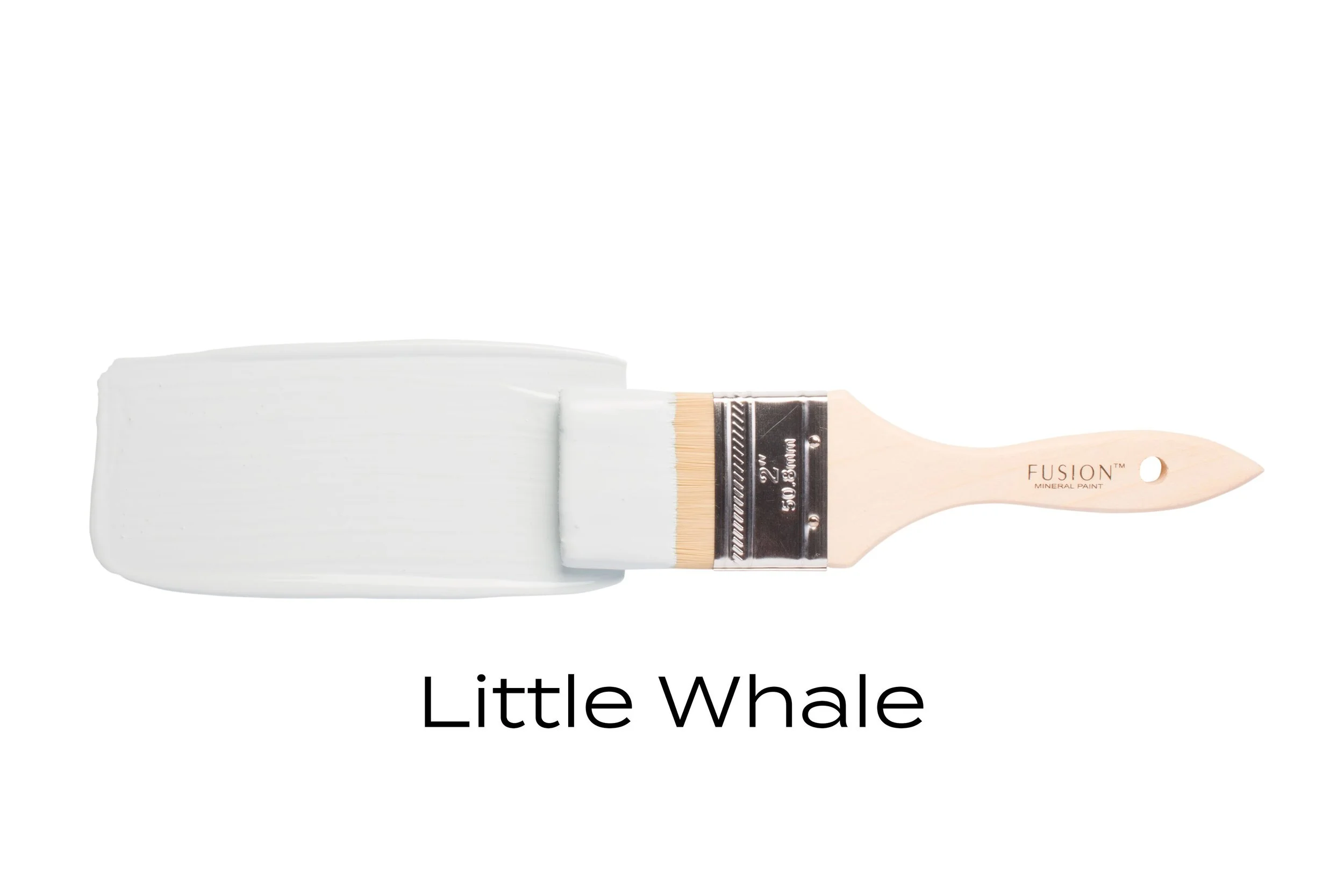 T3LITTLEWHALE (1).jpg