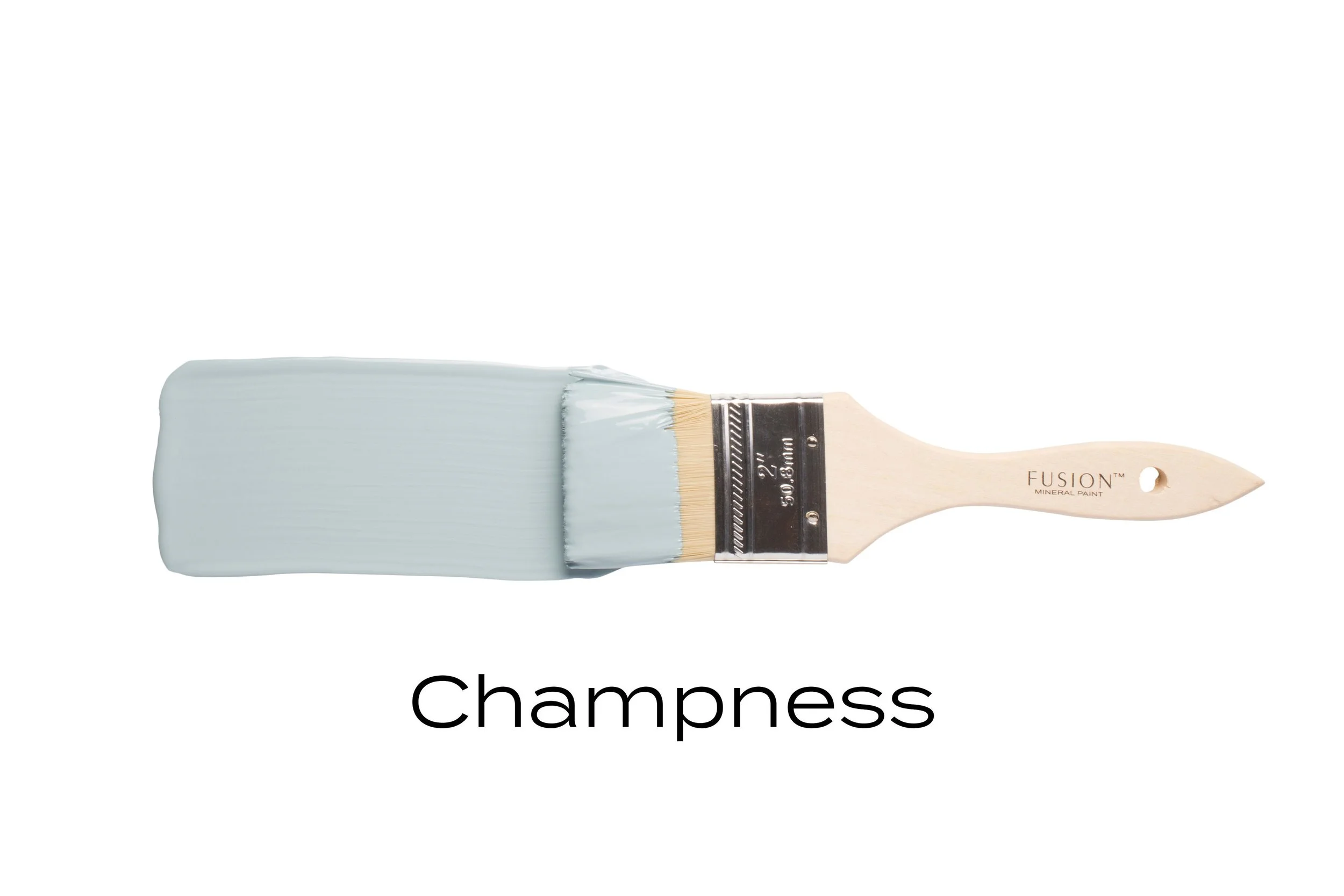T3CHAMPNESS.jpg