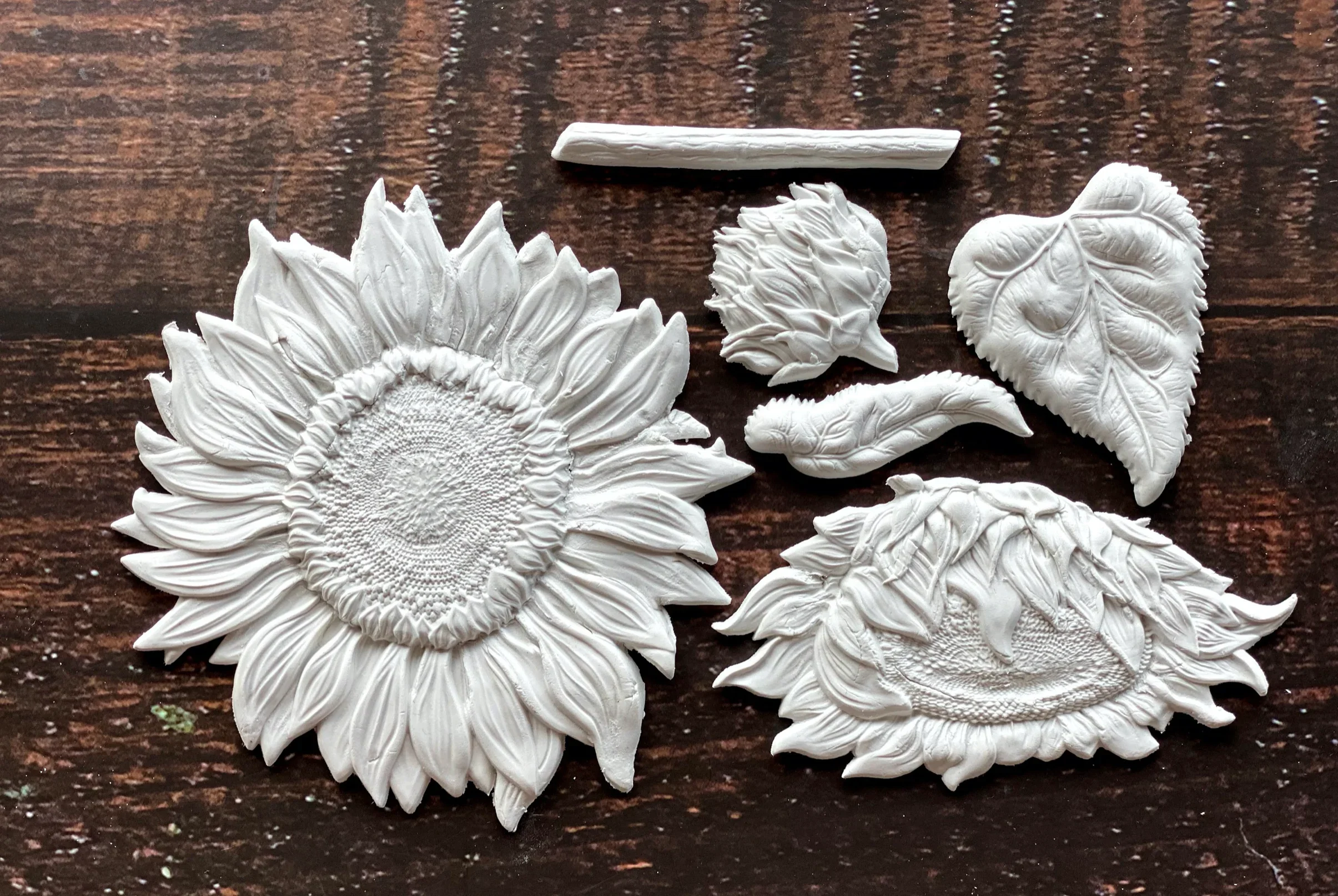iod sunflower mould 2.webp