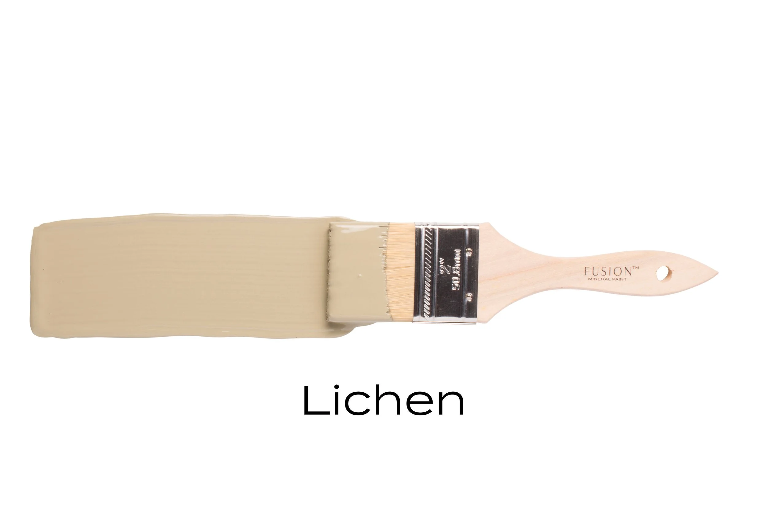T3LICHEN.jpg