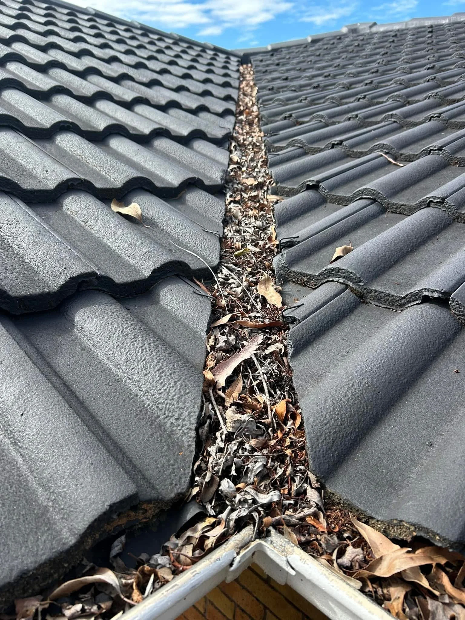 How Often Should Gutters Be Cleaned in NSW?