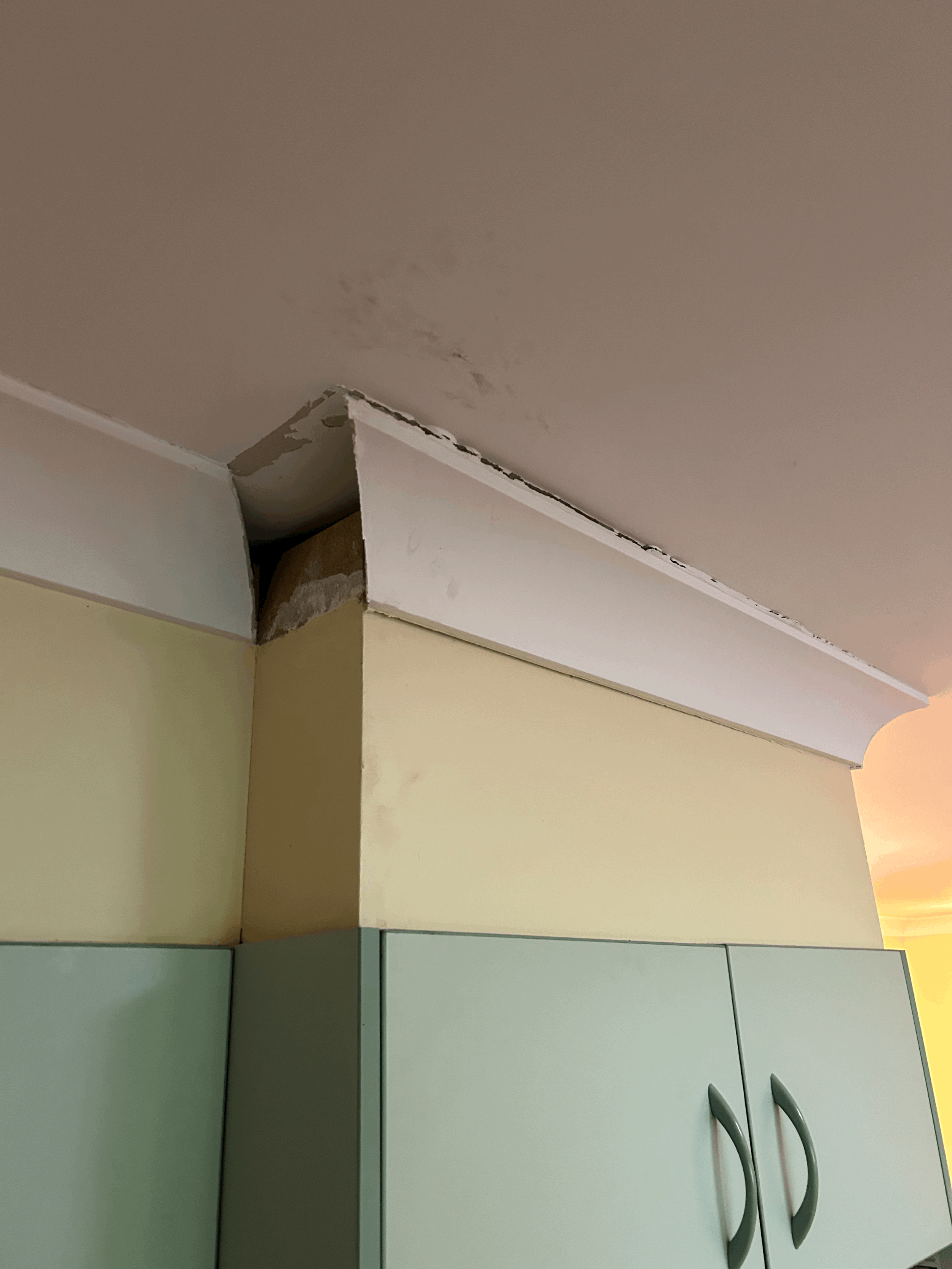 10 Signs You Have a Hidden Water Leak