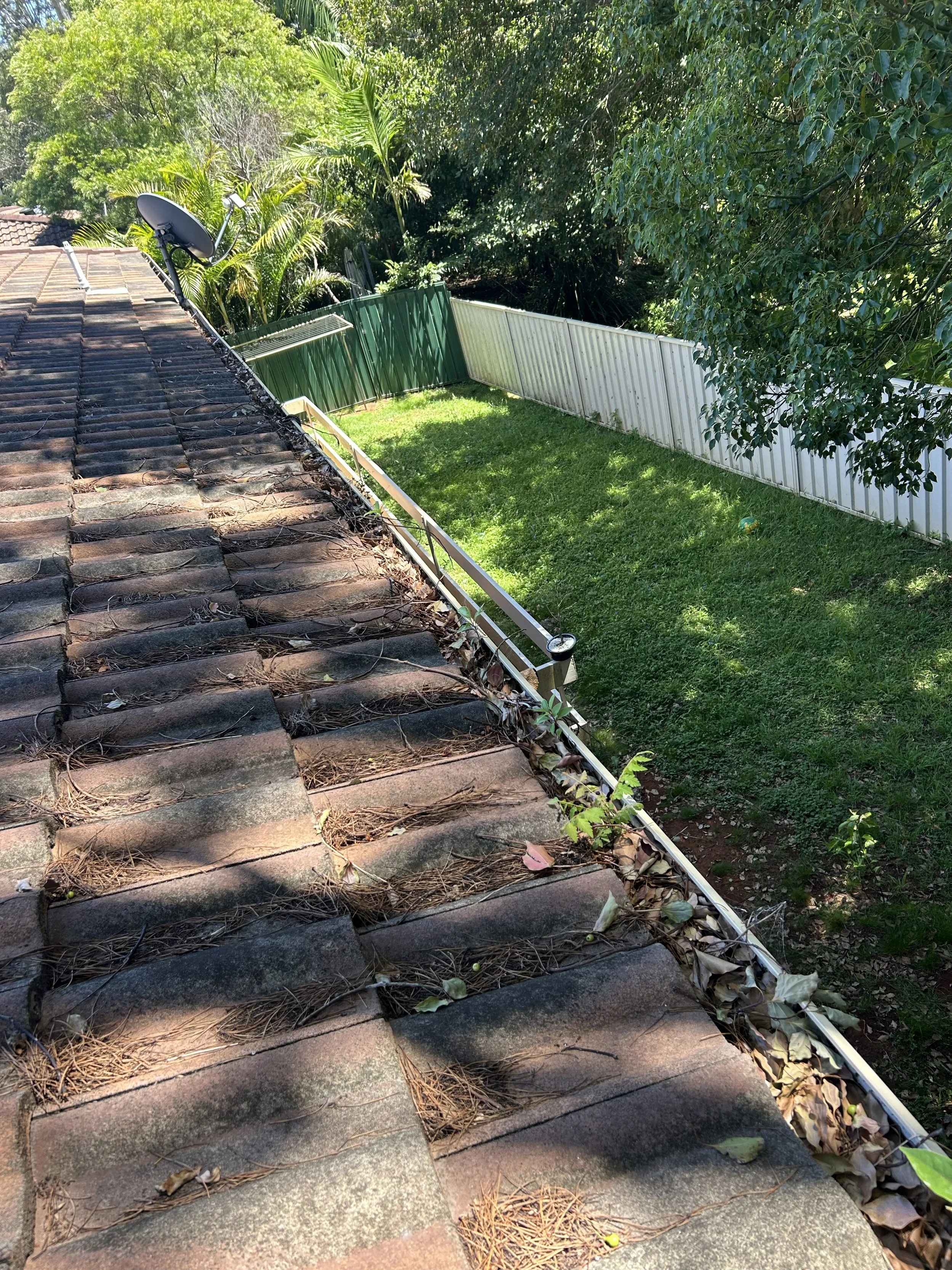 How Often Should You Clean Your Gutters?