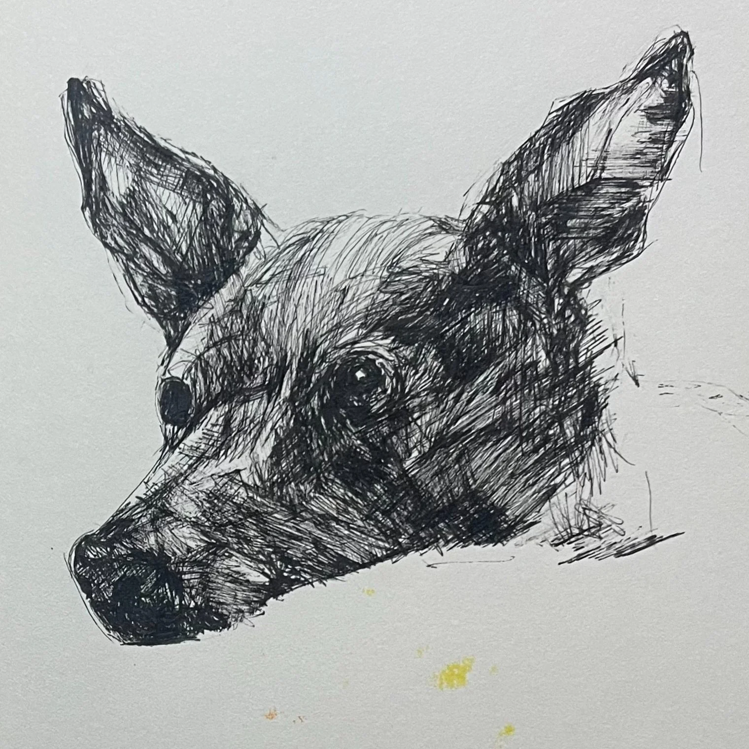 From the Sketchbook