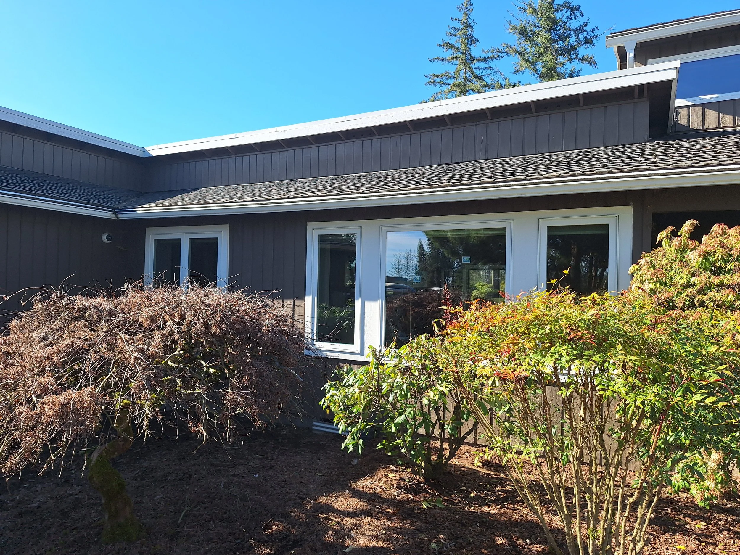 Project Spotlight: A Fresh Look with Crisp White Trim