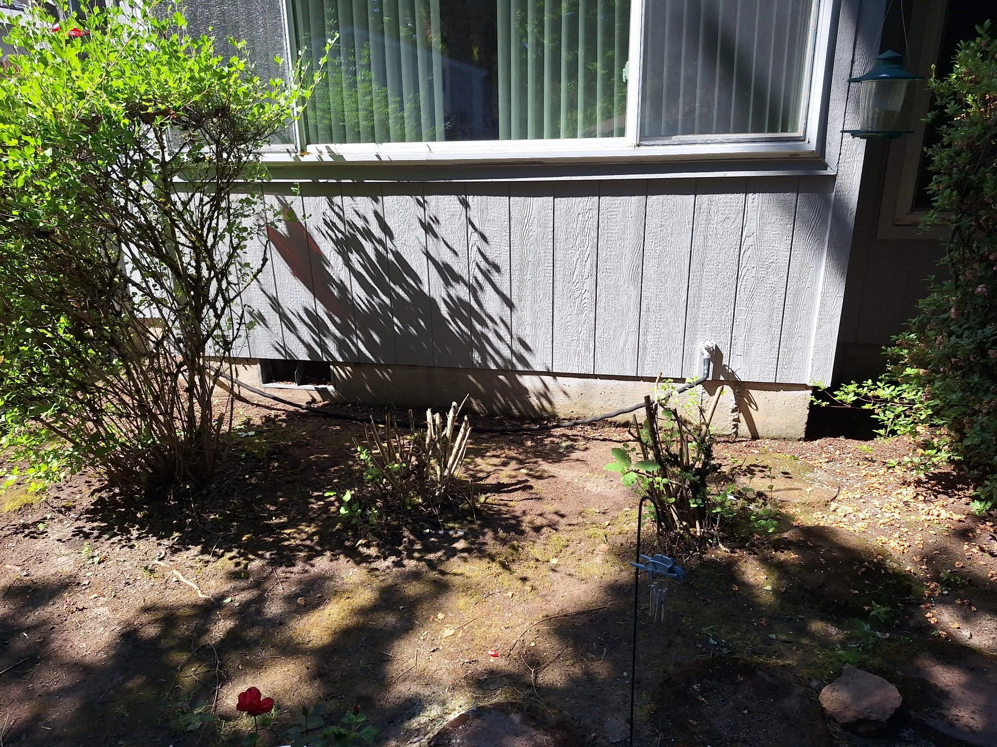 Project Spotlight: Dry Rot Siding Repair