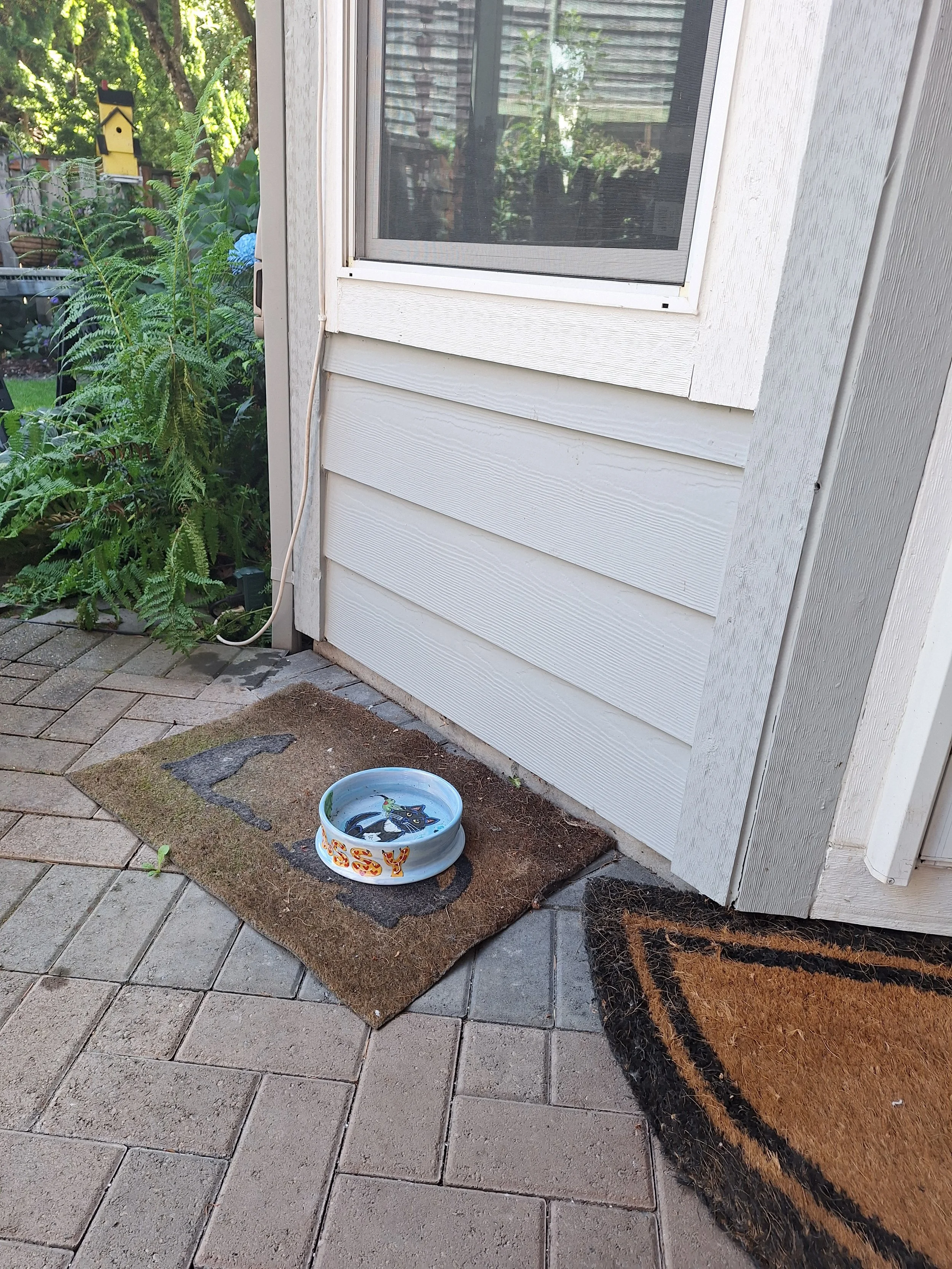 A cat water bowl with a black and white cat illustration on its side, placed on a brown mat outside near a white house wall, with plants and garden visible in the background.