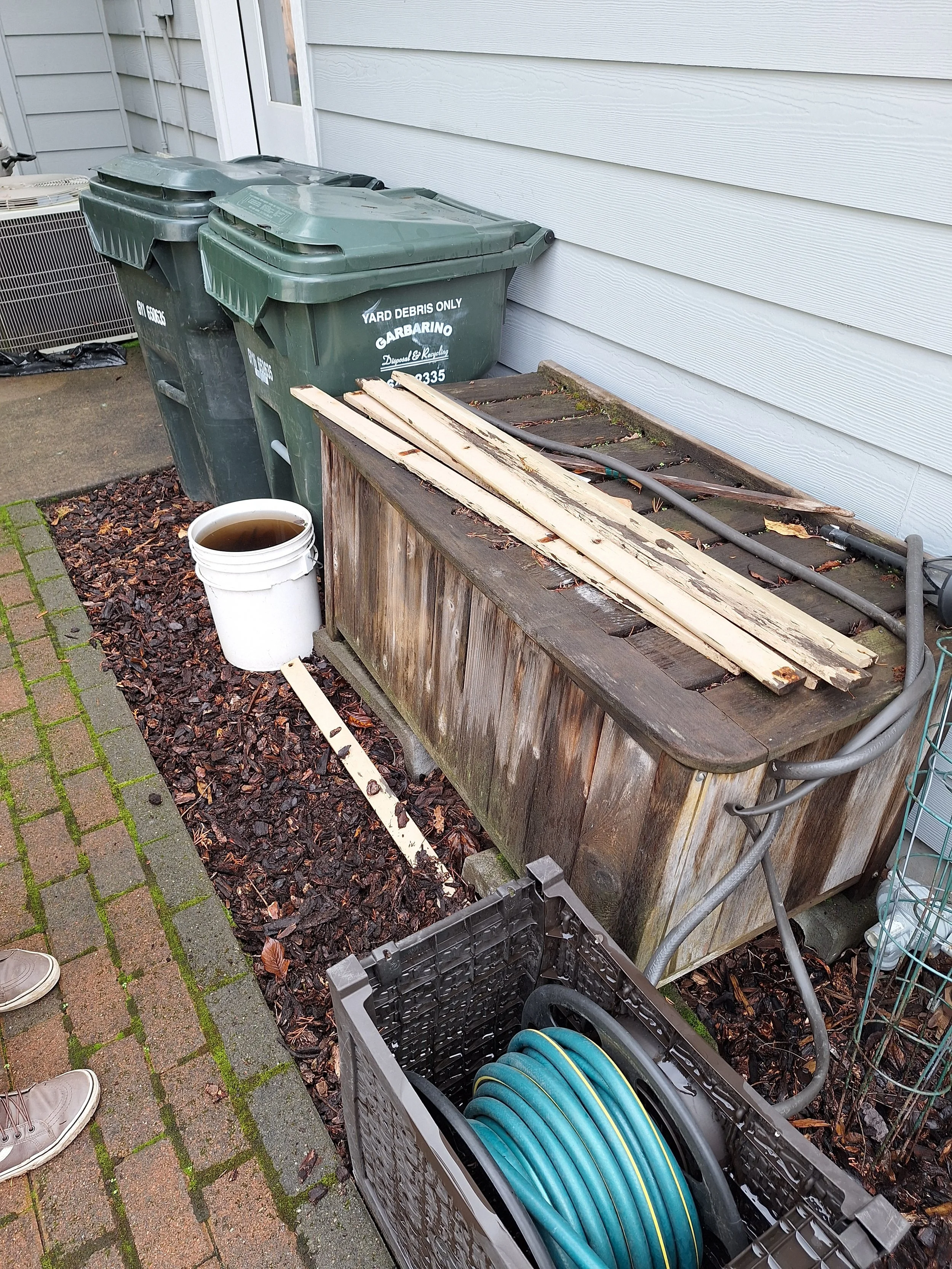 Outdoor area with two green yard waste bins, a white bucket filled with dark liquid, wooden planks on a weathered wooden storage container, a garden hose in a black crate, and a person’s shoes on a brick pathway next to some leaf mulch.