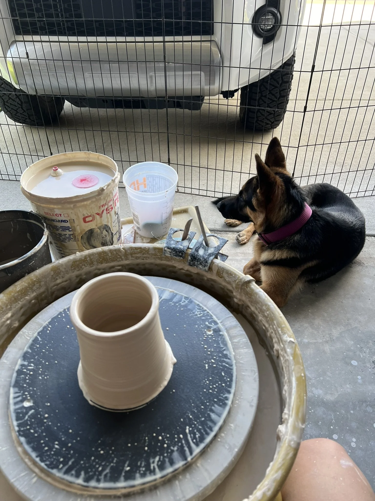 A pottery wheel with a partially shaped ceramic cup, pottery tools, and containers of clay and water. In the background, a dog with black and brown fur, wearing a pink collar, is sitting behind a wire fence next to a vehicle.