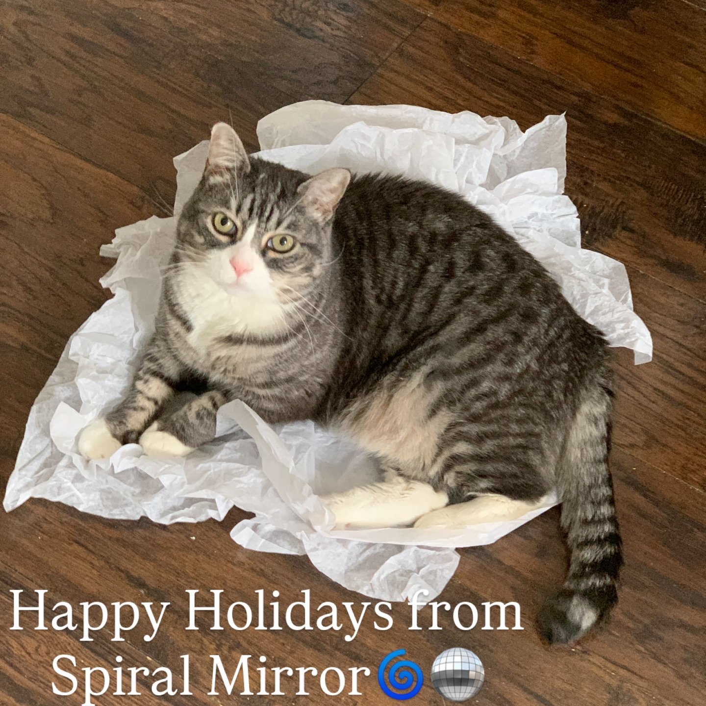 THE GIFT OF GIVING
🎁
At Spiral Mirror, we appreciate the uniqueness and singularity of objects, here and elsewhere. We're at the other end of the spectrum from mass-production. Most of our books and crystals are one-of-kind.
💎
This holiday season (