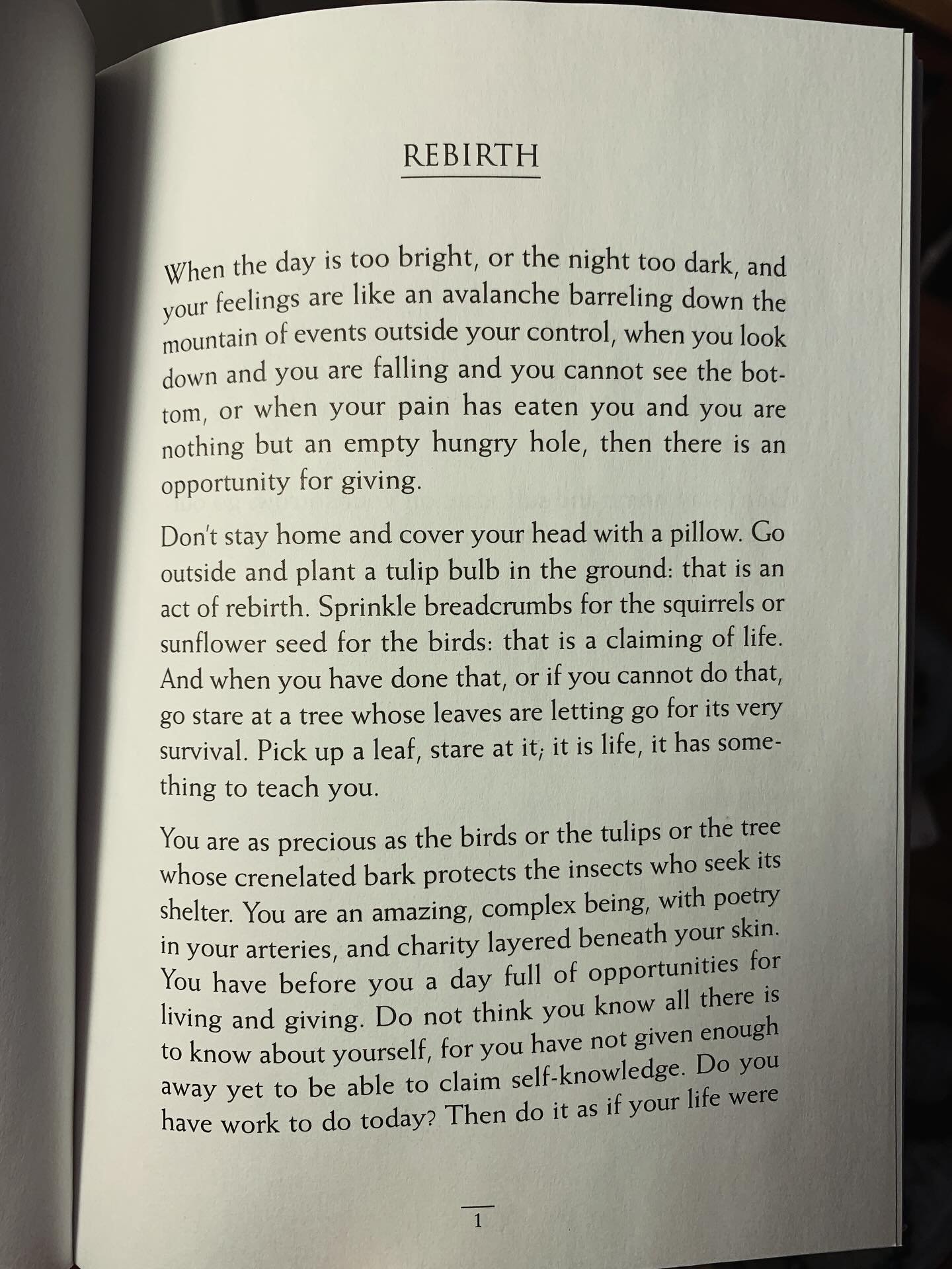 Our first warmer weekend. Daylight extended into evening. The anticipation of spring on the horizon. The energy of rebirth building under the soil. We&rsquo;re feeling it more and more.

&ldquo;You cleanse the world with your breathing, you beautify 