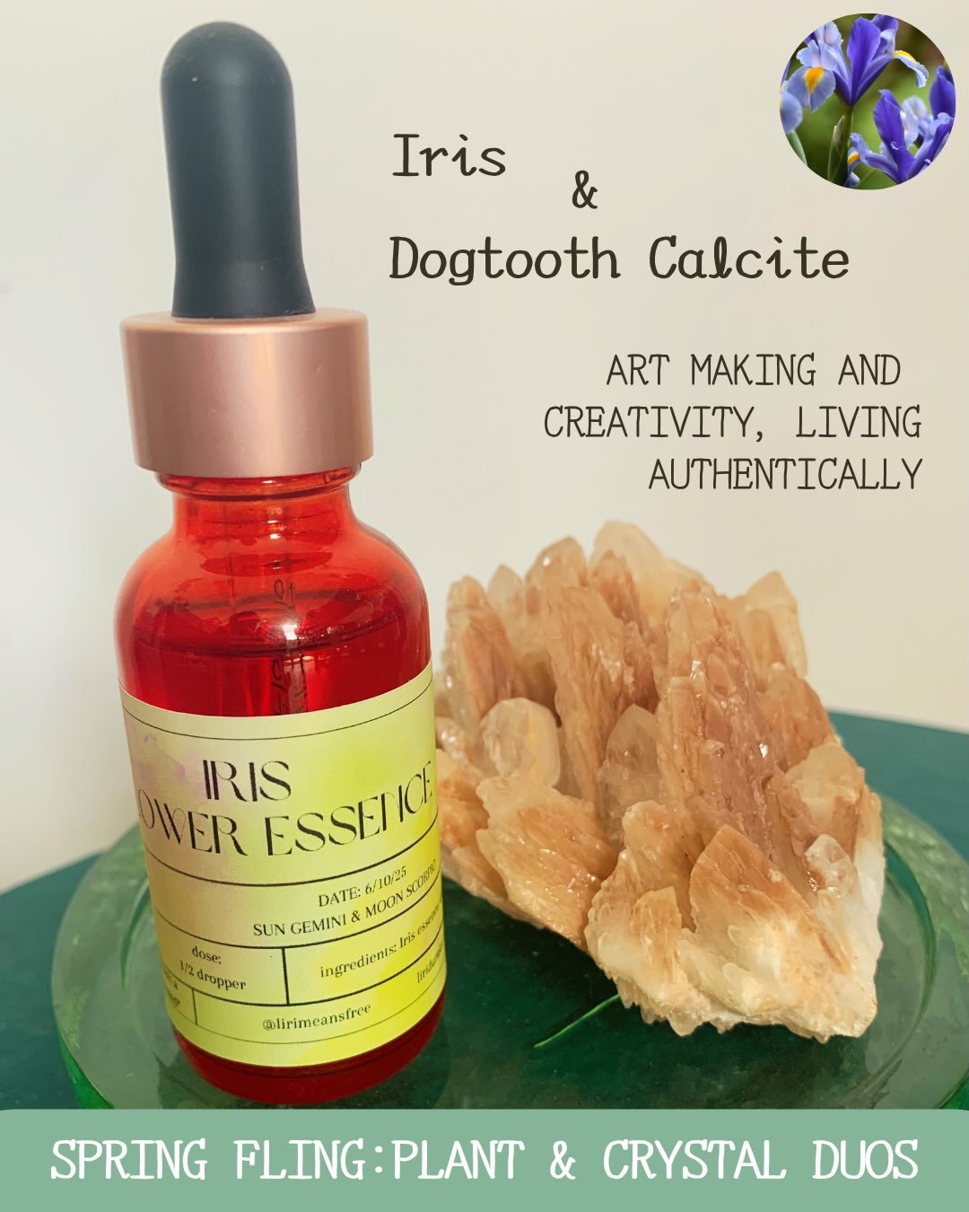 𝓢𝓹𝓻𝓲𝓷𝓰𝓽𝓲𝓶𝓮 𝓢𝓾𝓹𝓹𝓸𝓻𝓽 𝓯𝓻𝓸𝓶 𝓽𝓱𝓮 𝓔𝓪𝓻𝓽𝓱

As we move through the first full month of spring, these plant and crystal allies are friends of transition, shedding, reorientation toward the sun (our passions), and creative transform