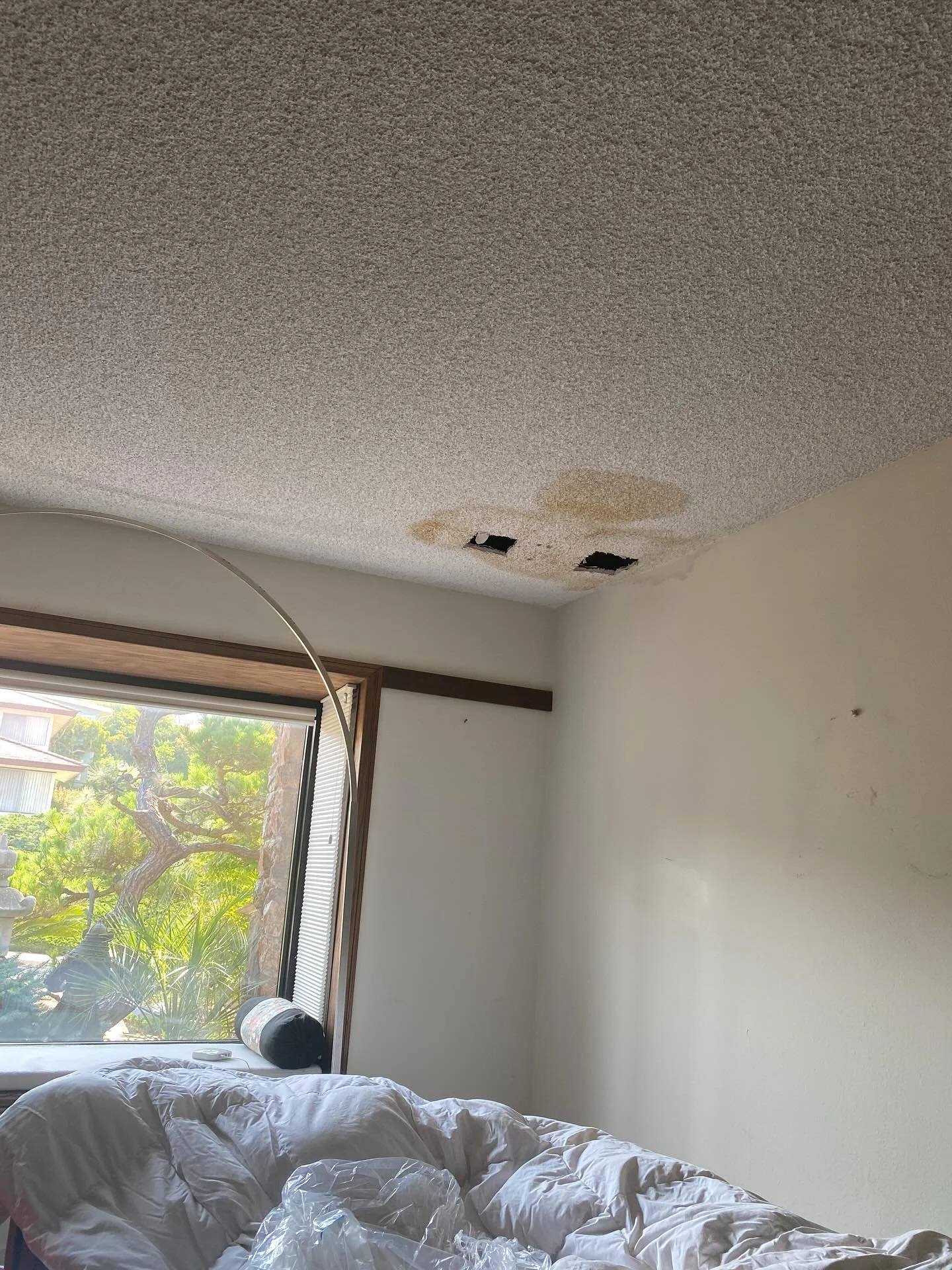 LEAK IN THE DRYWALL CEILING QUICK REPAIR:
CUTOUT MOLD, INSTALL DRYWALL, MUD JOINTS, APPLY POPCORN TEXTURE.